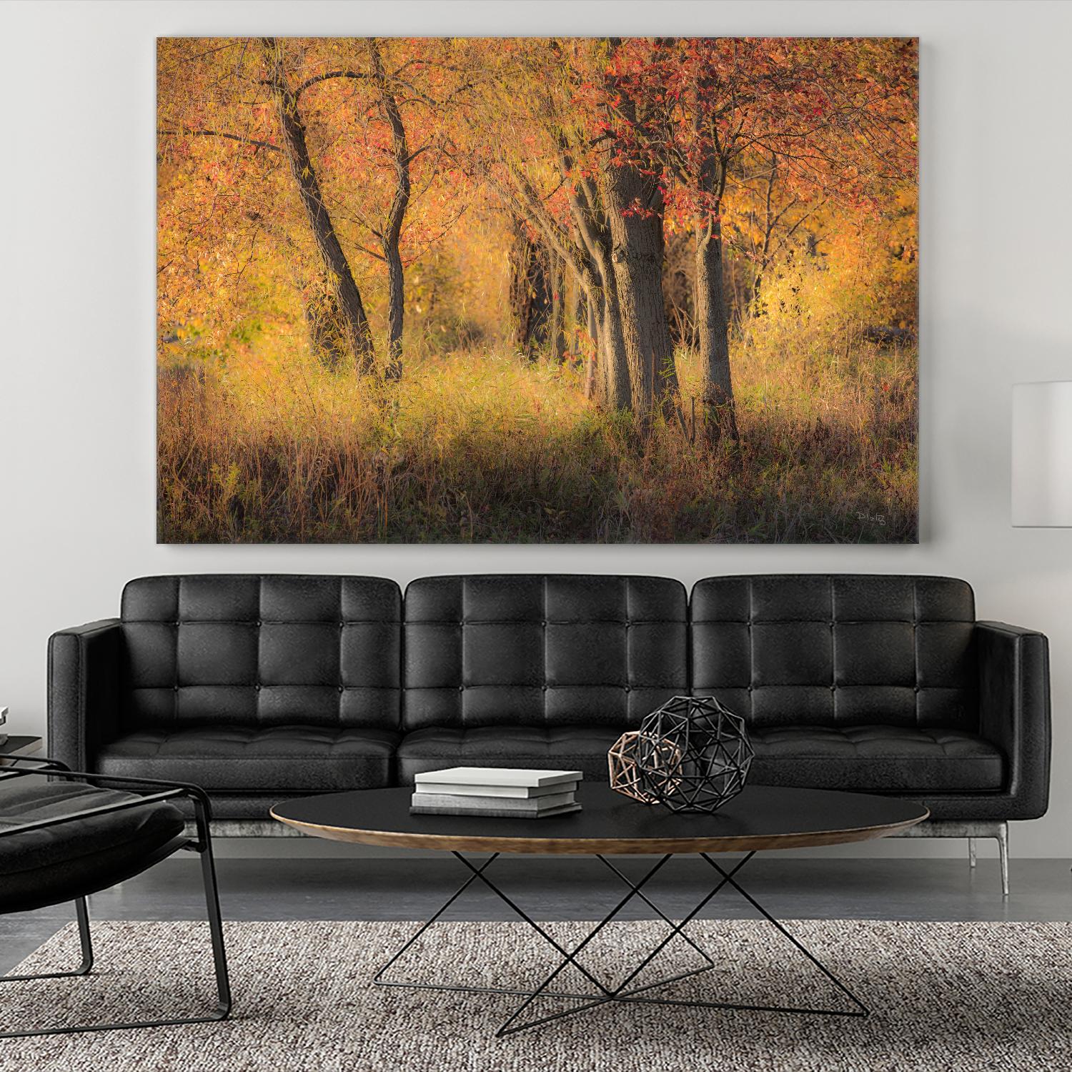 The Other Side by Matthew Platz on GIANT ART - multicolor photography; landscapes