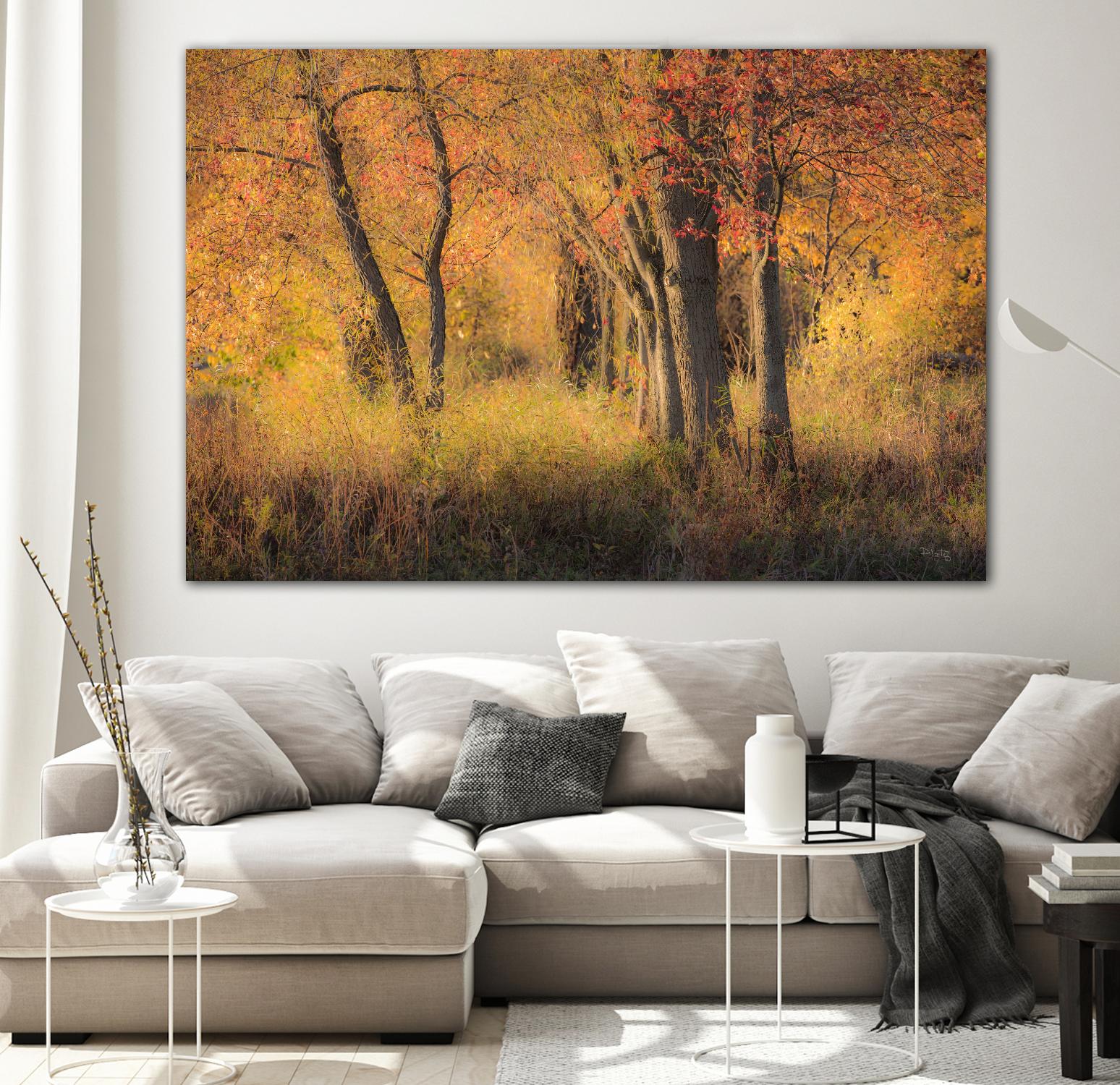 The Other Side by Matthew Platz on GIANT ART - multicolor photography; landscapes