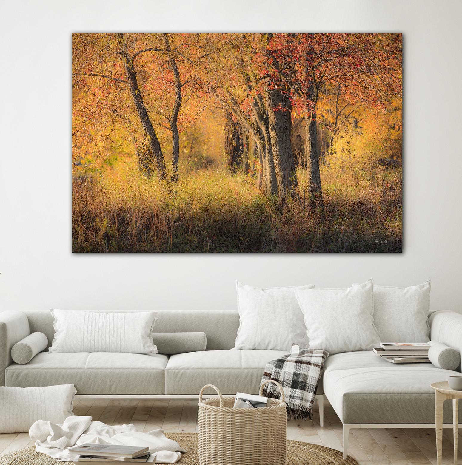 The Other Side by Matthew Platz on GIANT ART - multicolor photography; landscapes