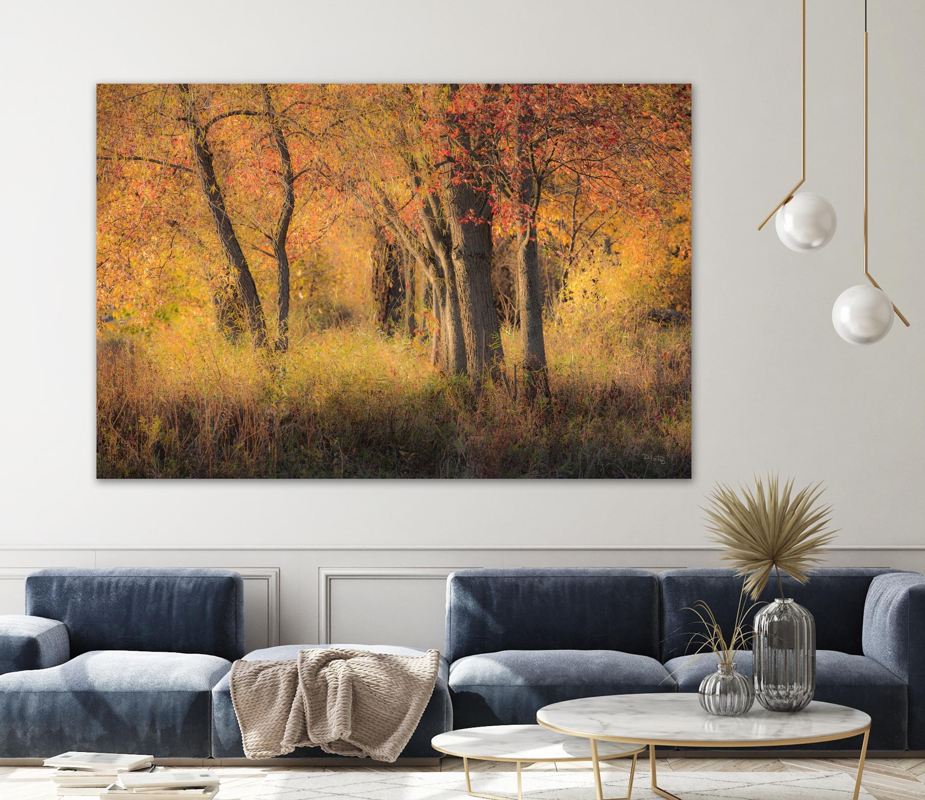 The Other Side by Matthew Platz on GIANT ART - multicolor photography; landscapes