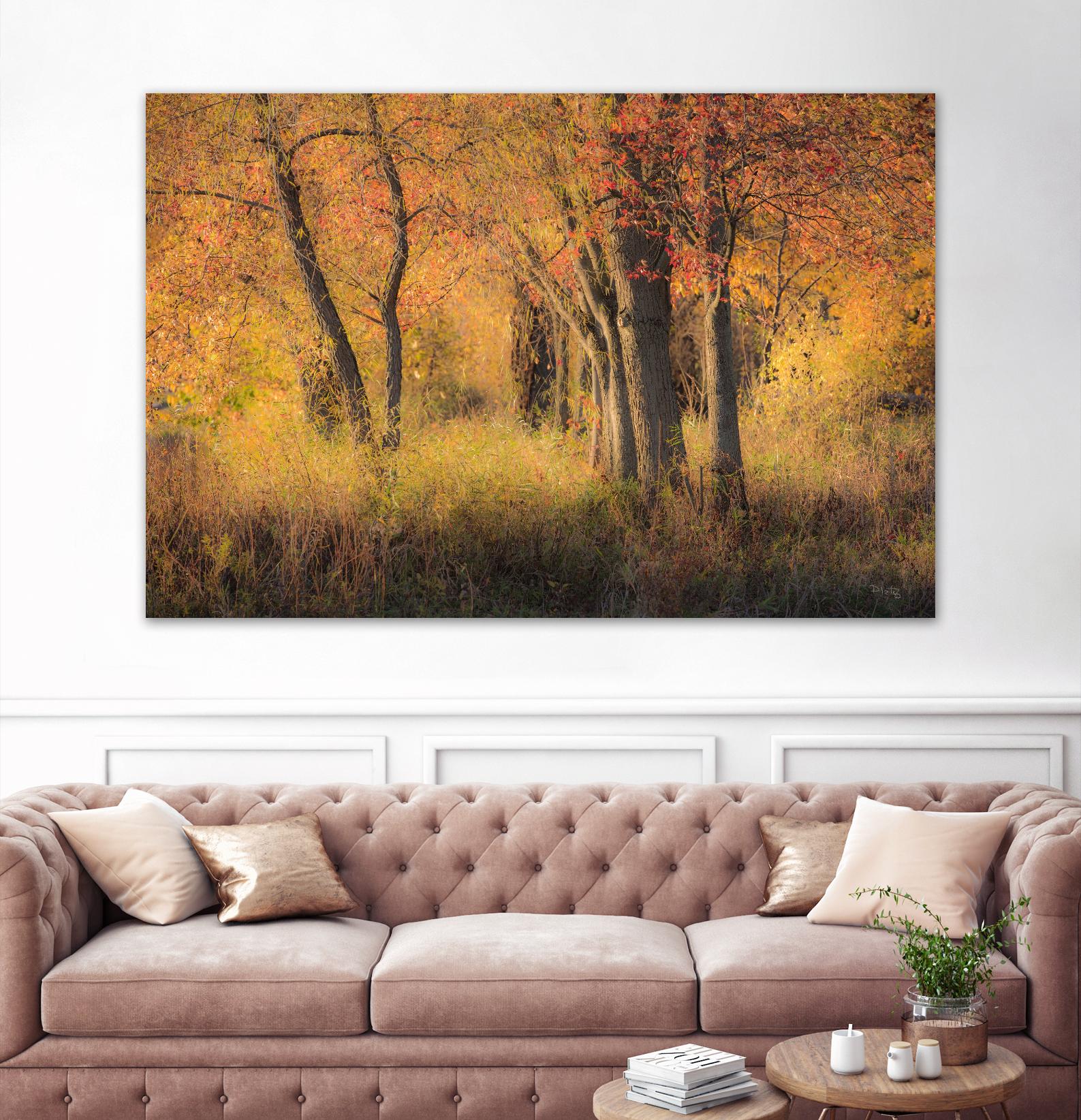 The Other Side by Matthew Platz on GIANT ART - multicolor photography; landscapes