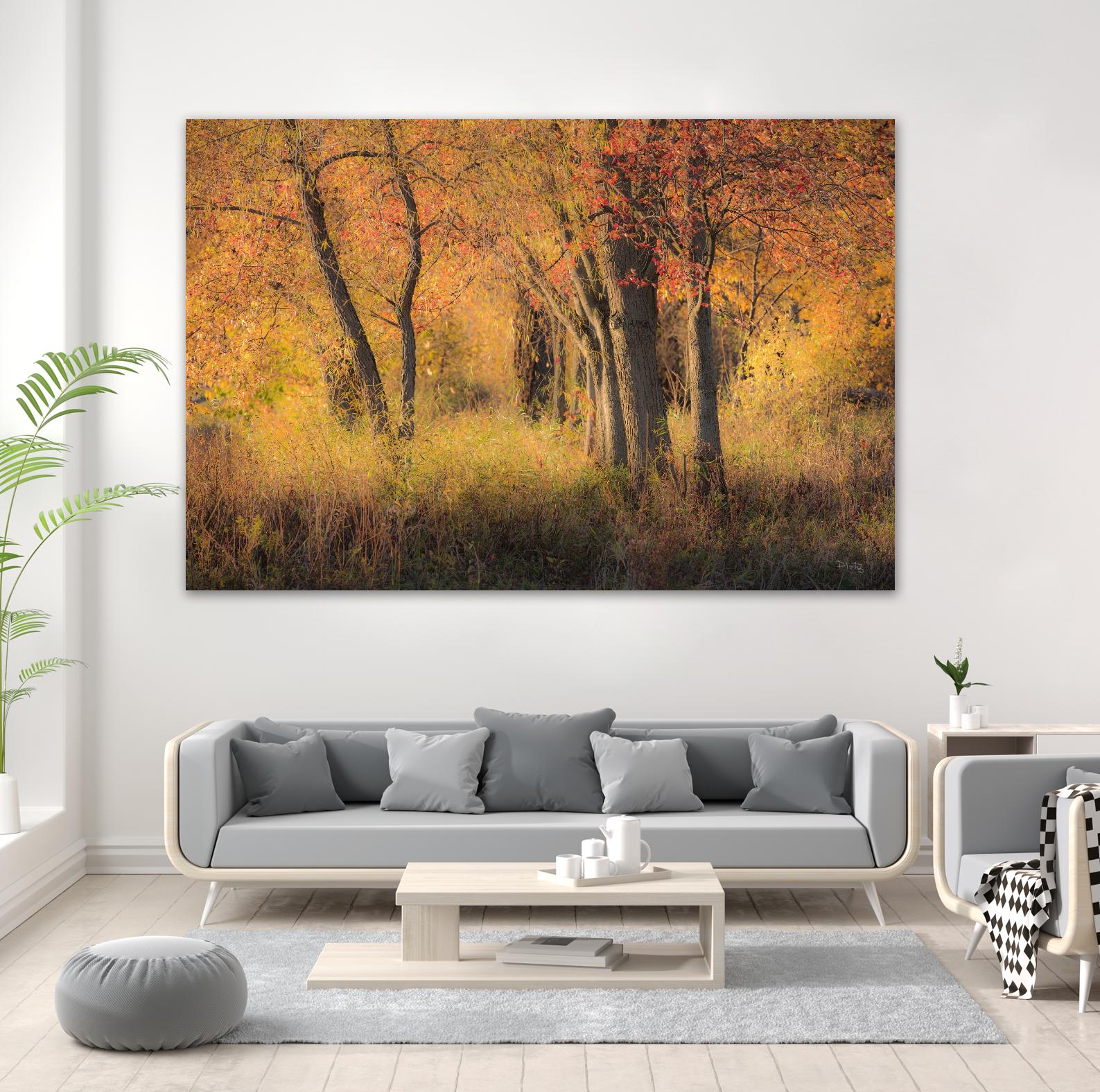 The Other Side by Matthew Platz on GIANT ART - multicolor photography; landscapes