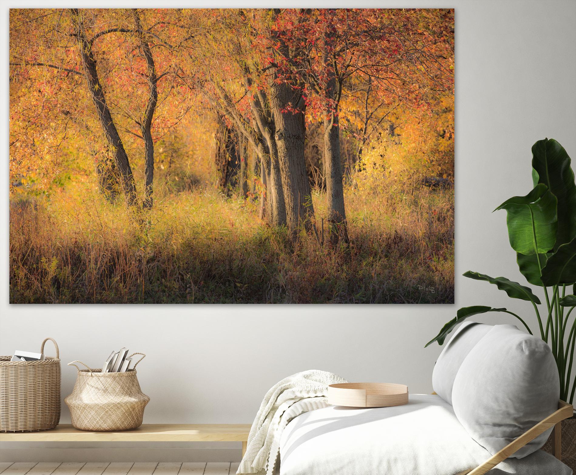 The Other Side by Matthew Platz on GIANT ART - multicolor photography; landscapes