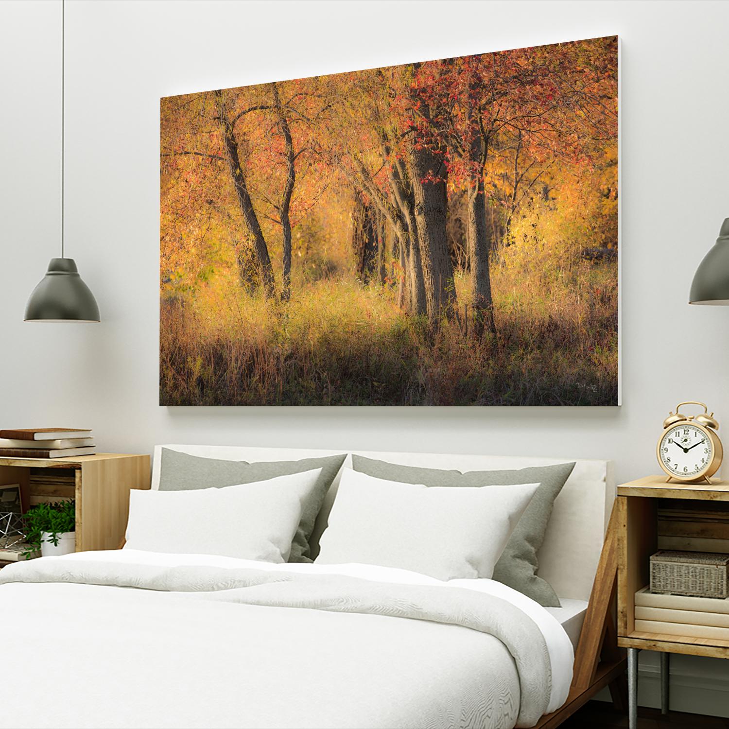 The Other Side by Matthew Platz on GIANT ART - multicolor photography; landscapes