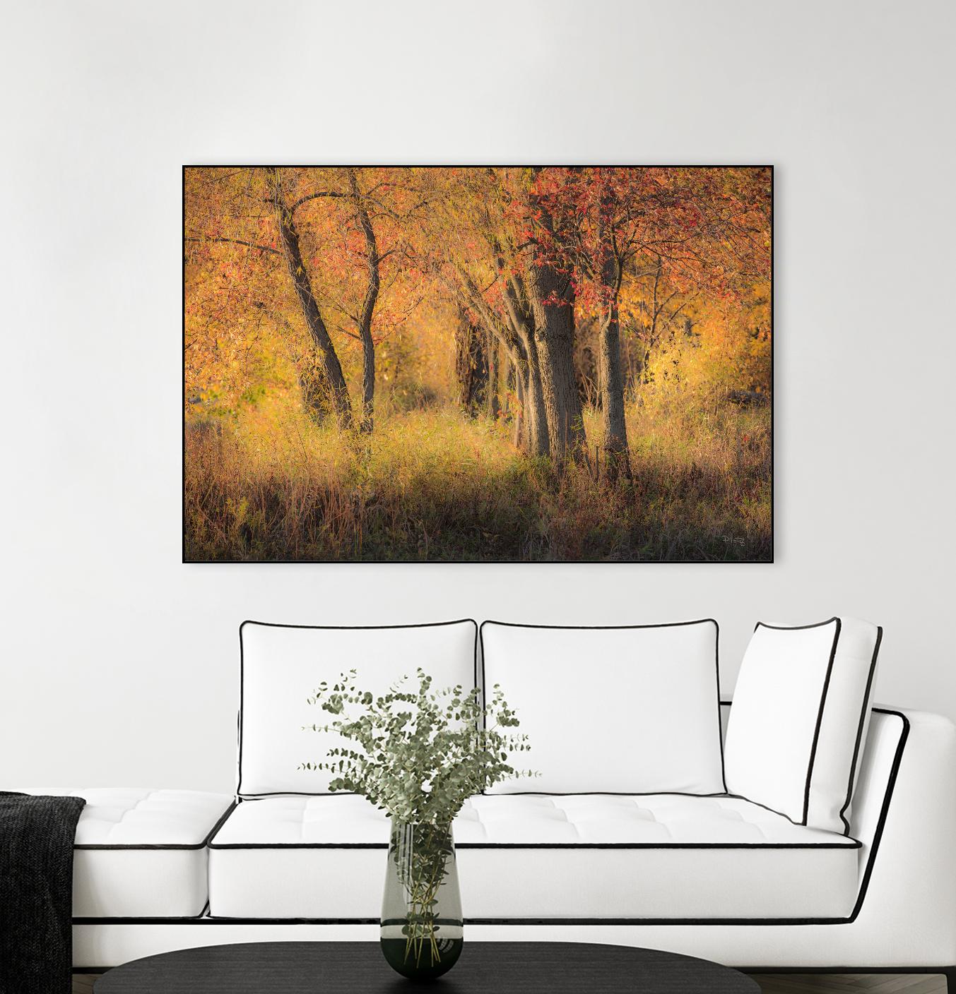 The Other Side by Matthew Platz on GIANT ART - multicolor photography; landscapes