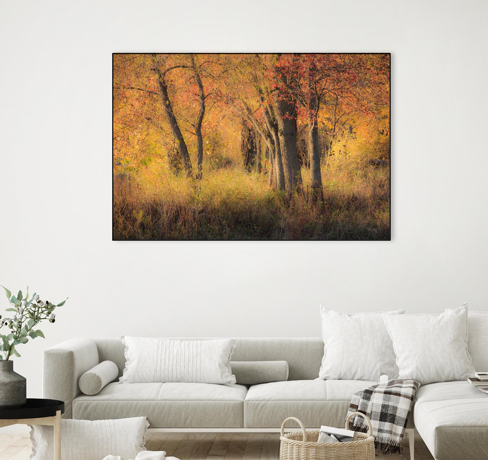 The Other Side by Matthew Platz on GIANT ART - multicolor photography; landscapes