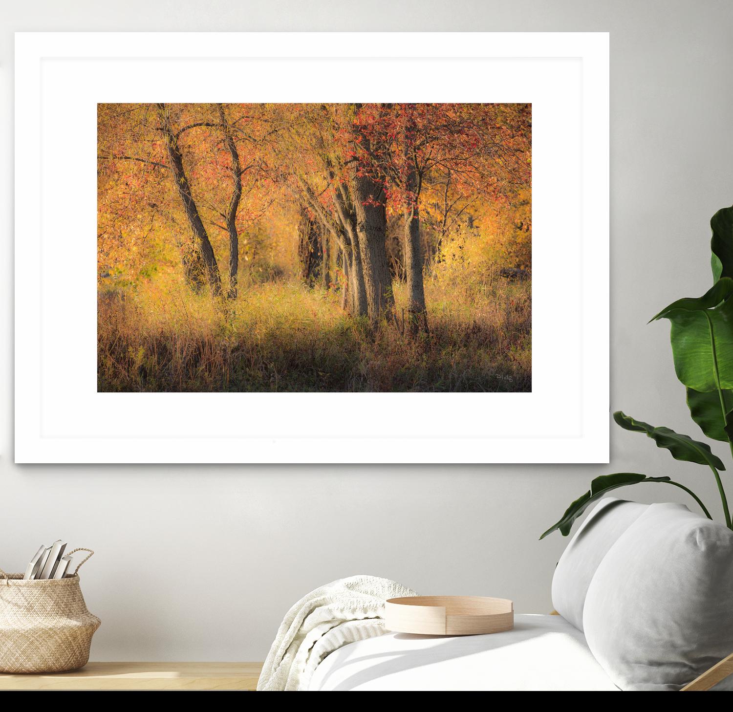 The Other Side by Matthew Platz on GIANT ART - multicolor photography; landscapes