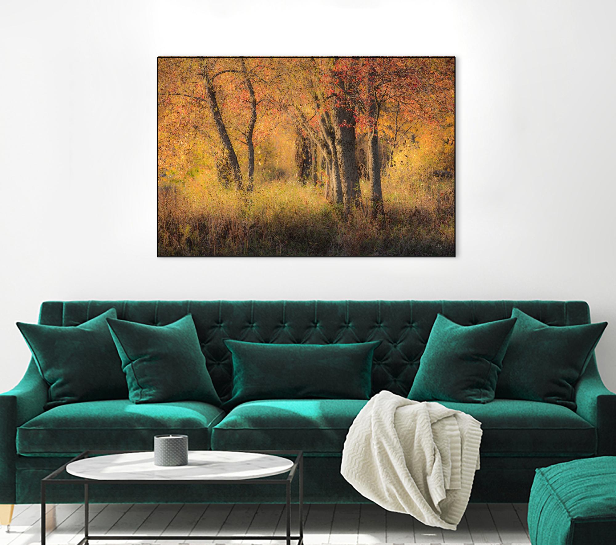 The Other Side by Matthew Platz on GIANT ART - multicolor photography; landscapes