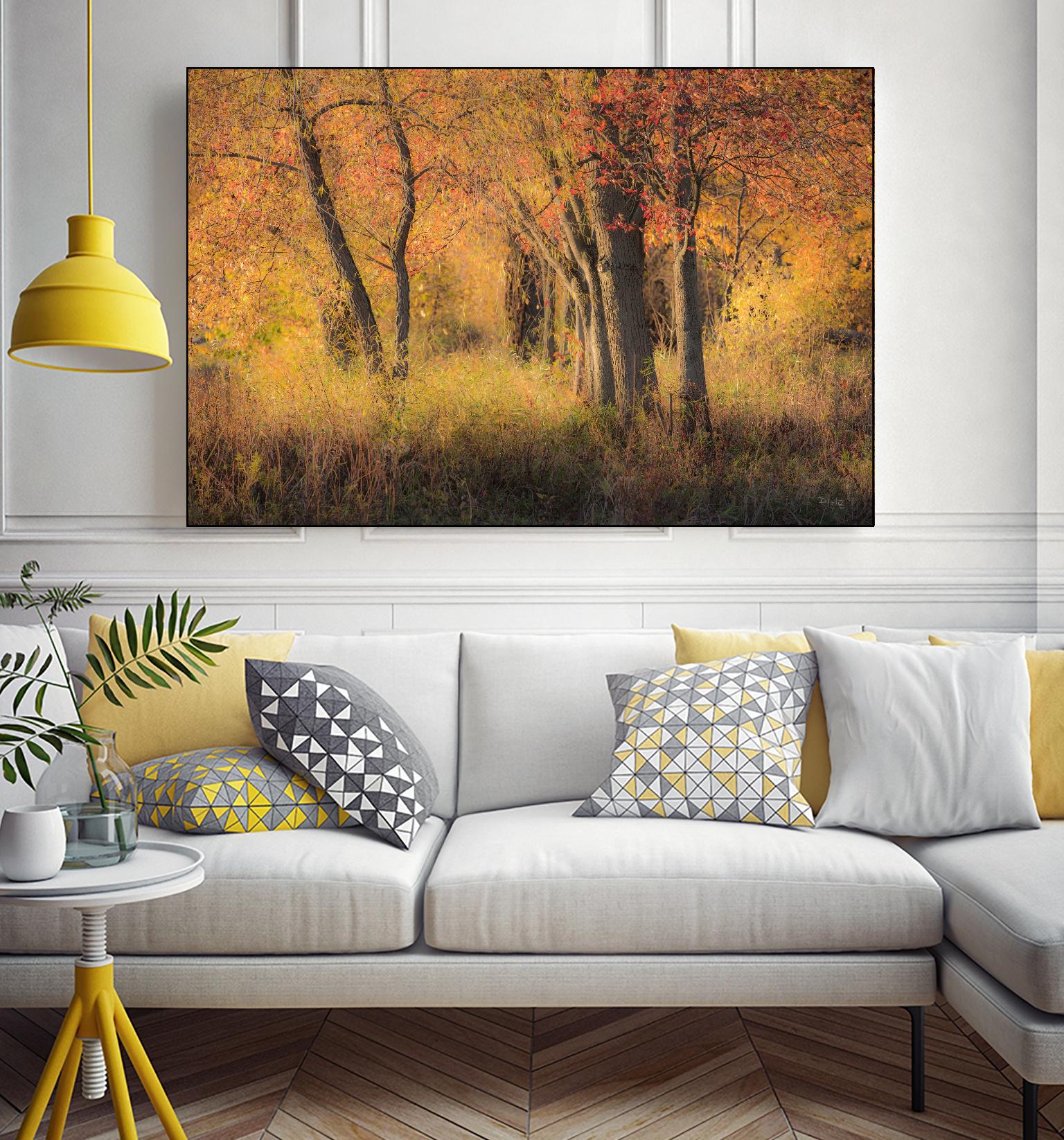 The Other Side by Matthew Platz on GIANT ART - multicolor photography; landscapes