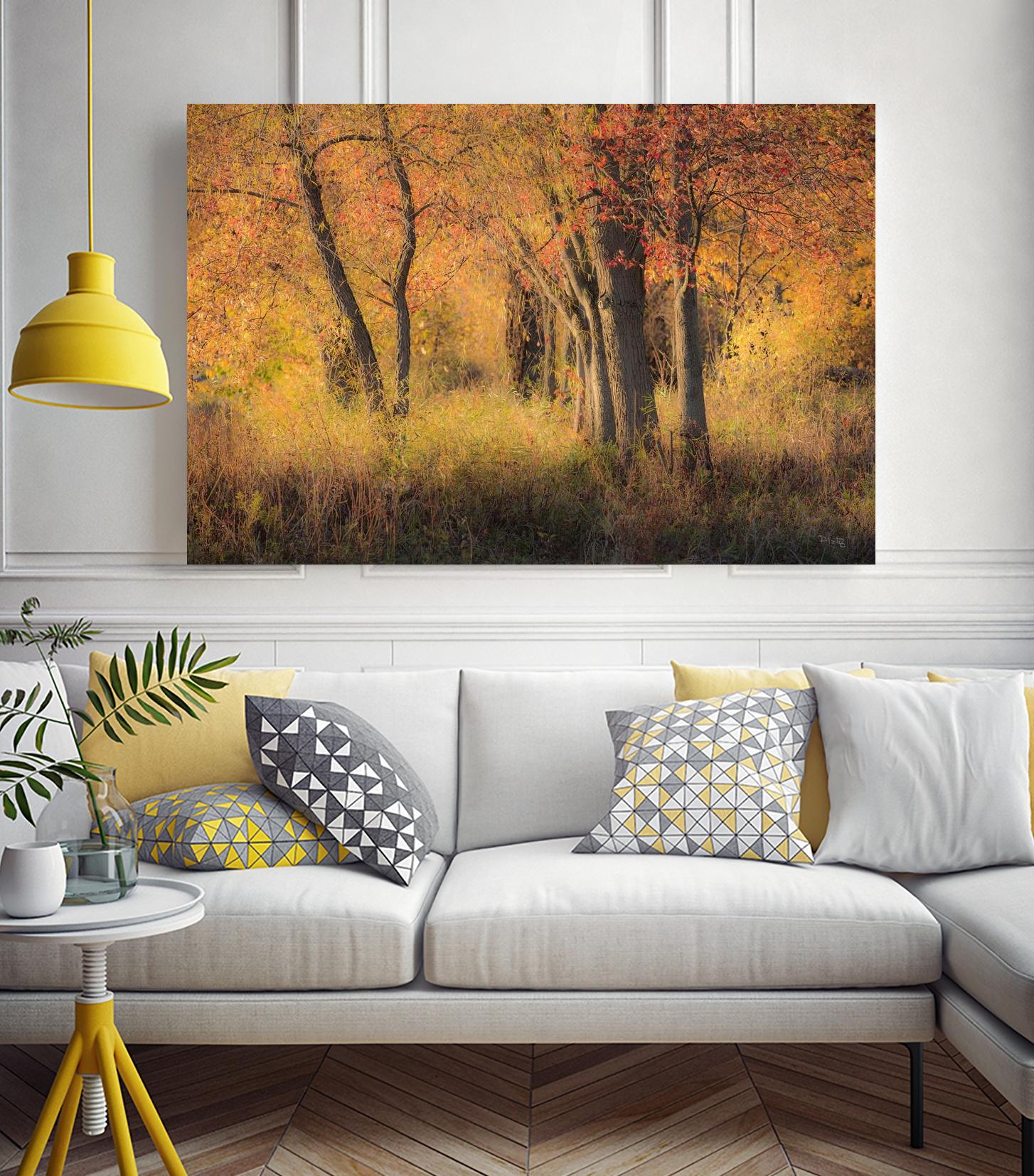 The Other Side by Matthew Platz on GIANT ART - multicolor photography; landscapes