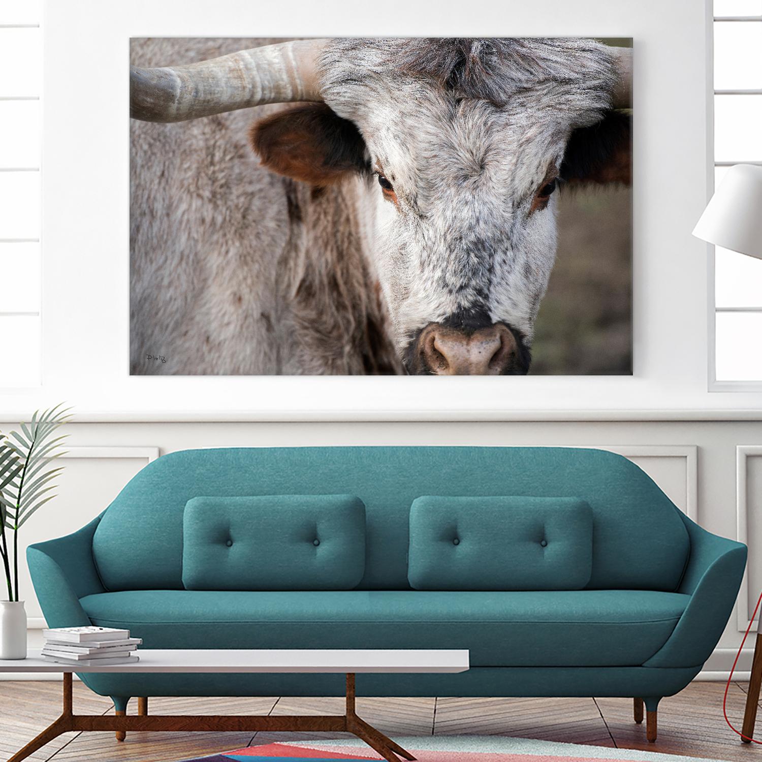 Showdown by Matthew Platz on GIANT ART - multicolor animals; photography