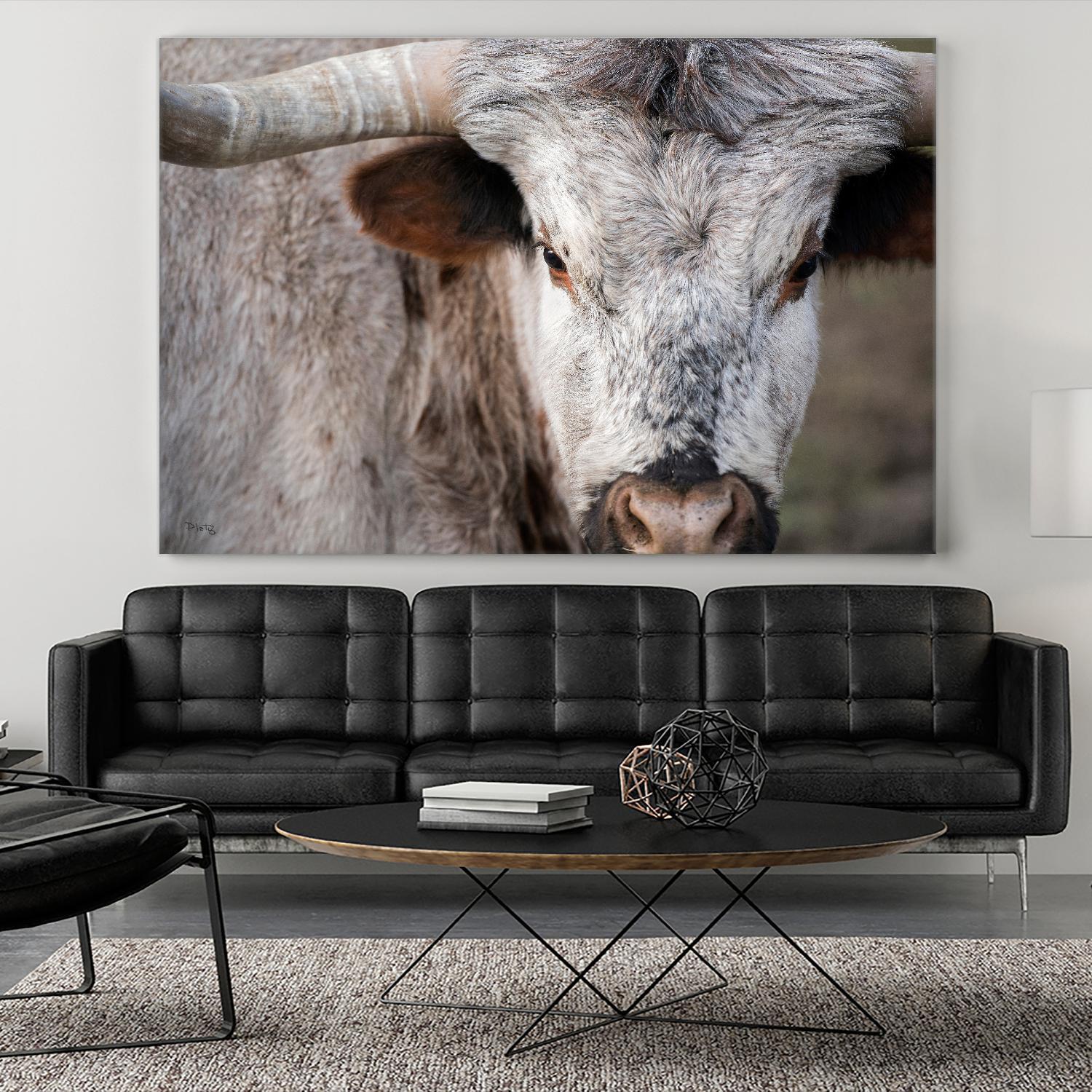 Showdown by Matthew Platz on GIANT ART - multicolor animals; photography