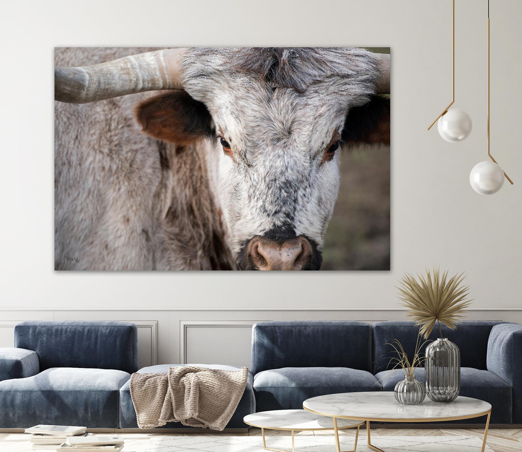 Showdown by Matthew Platz on GIANT ART - multicolor animals; photography