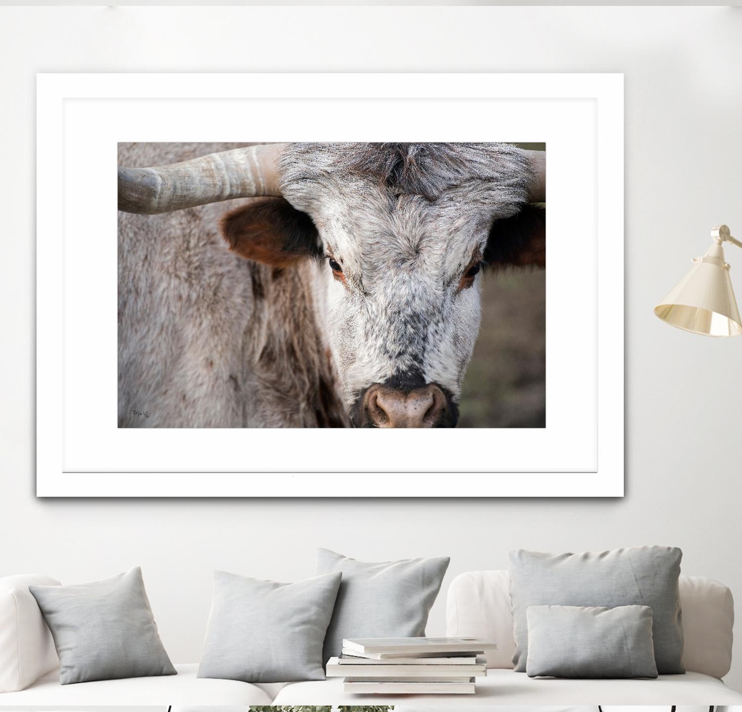 Showdown by Matthew Platz on GIANT ART - multicolor animals; photography