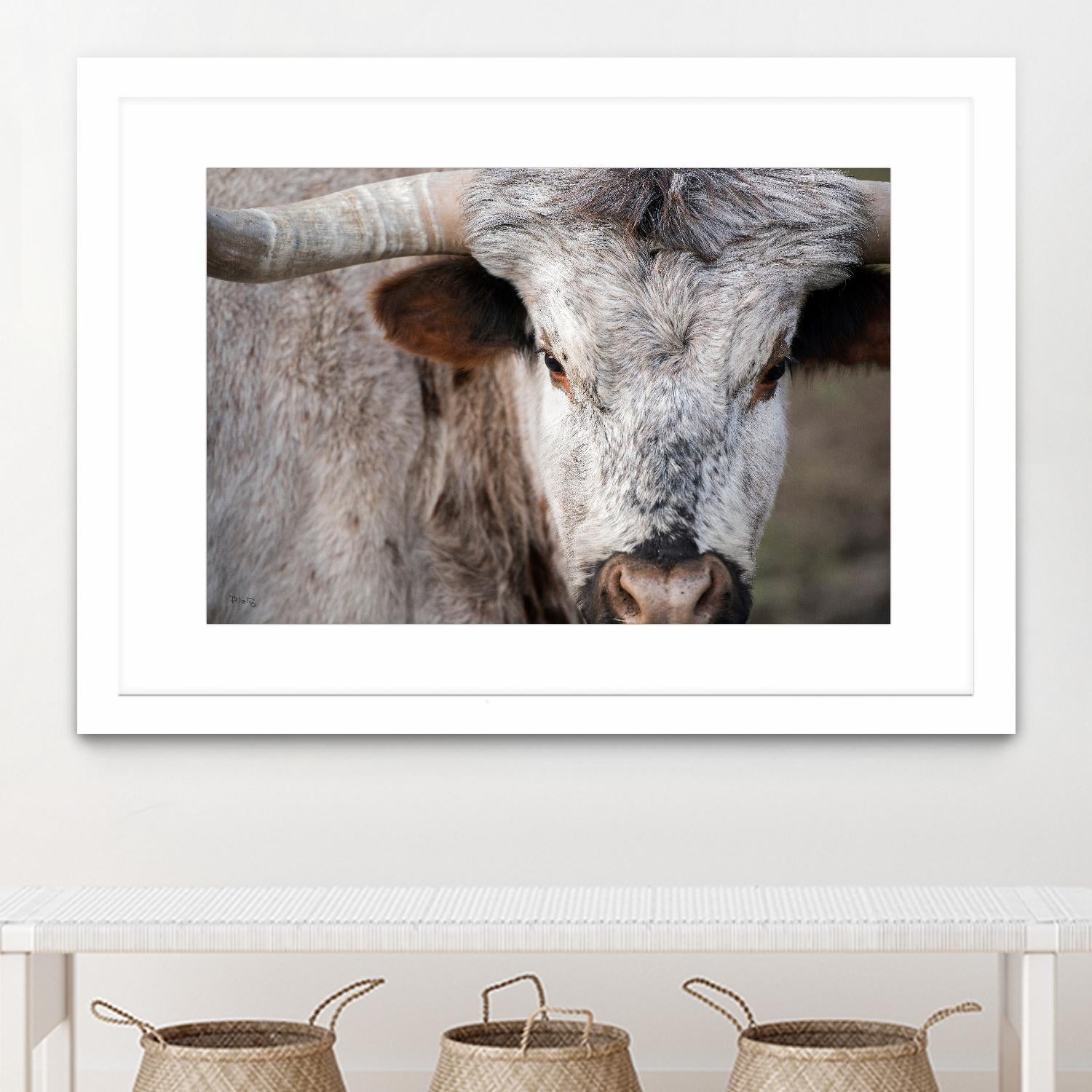 Showdown by Matthew Platz on GIANT ART - multicolor animals; photography