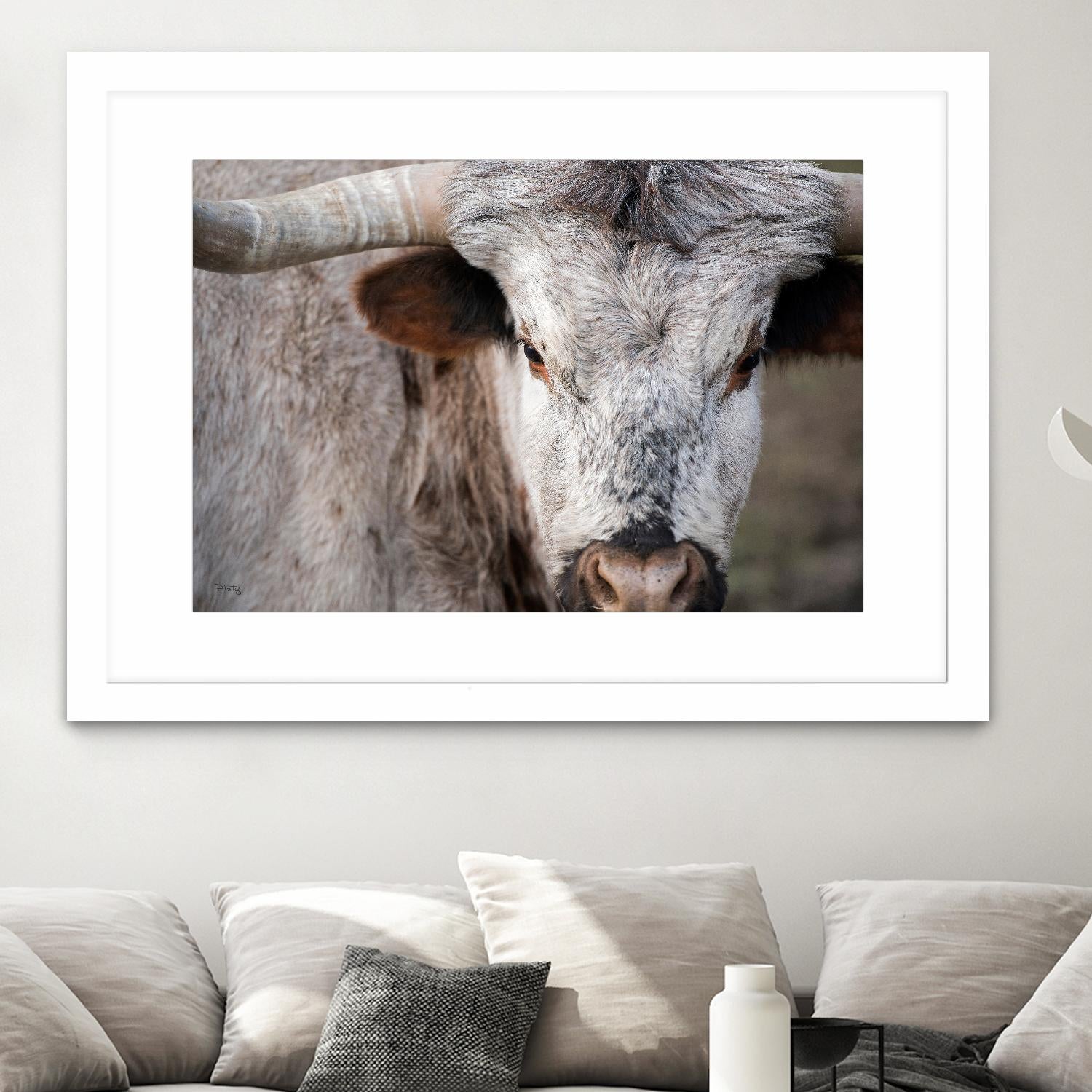 Showdown by Matthew Platz on GIANT ART - multicolor animals; photography