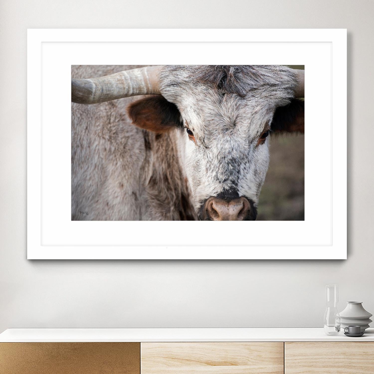 Showdown by Matthew Platz on GIANT ART - multicolor animals; photography