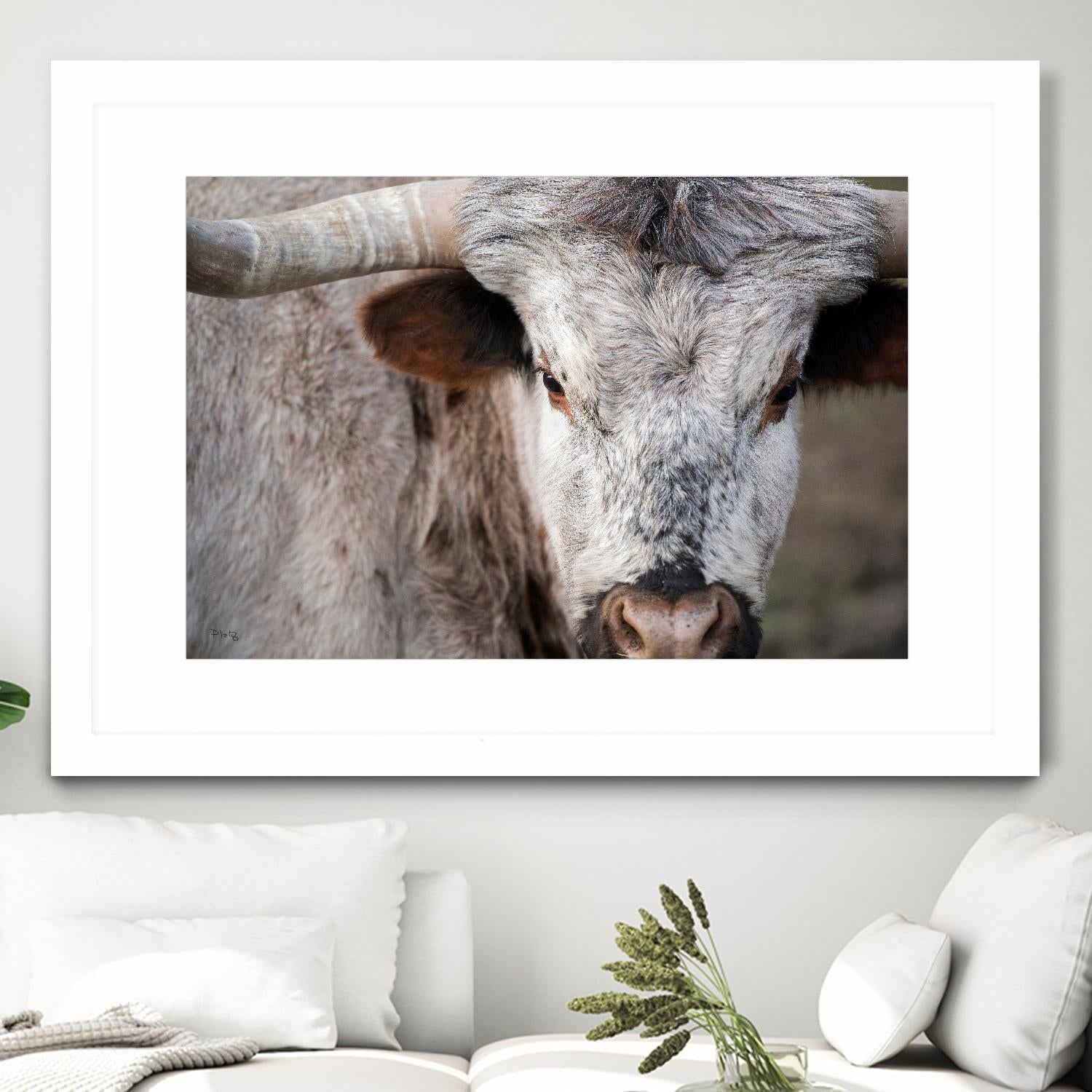 Showdown by Matthew Platz on GIANT ART - multicolor animals; photography