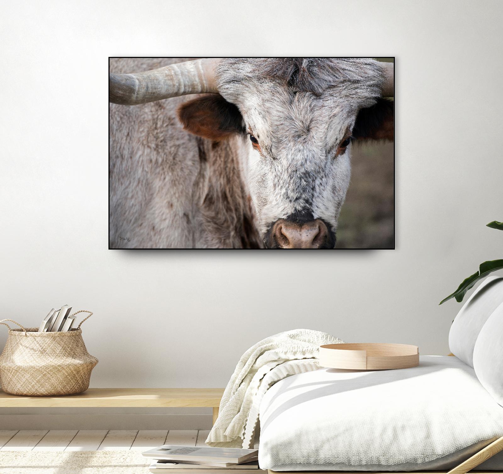 Showdown by Matthew Platz on GIANT ART - multicolor animals; photography