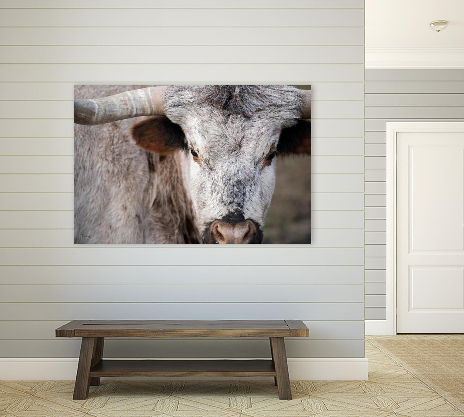 Showdown by Matthew Platz on GIANT ART - multicolor animals; photography