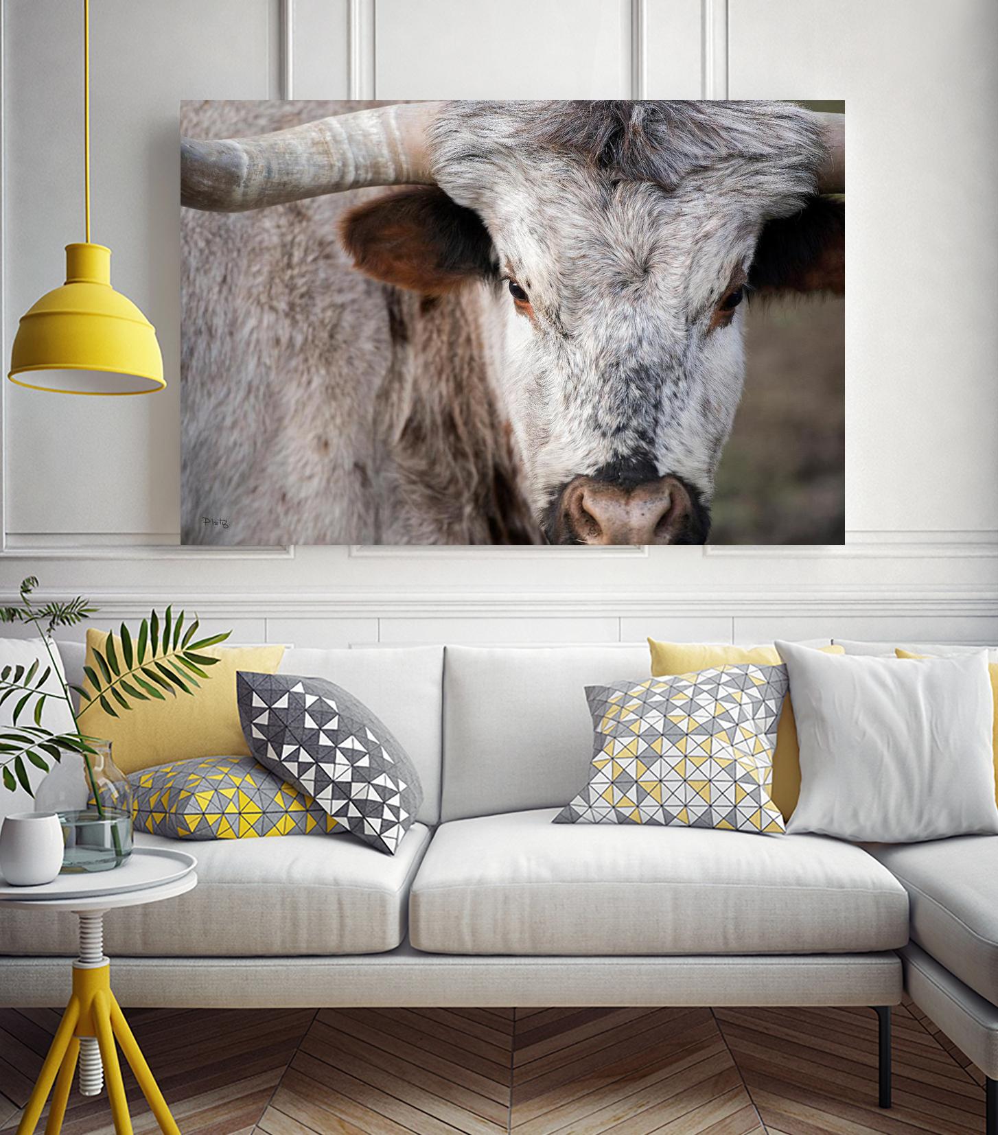 Showdown by Matthew Platz on GIANT ART - multicolor animals; photography