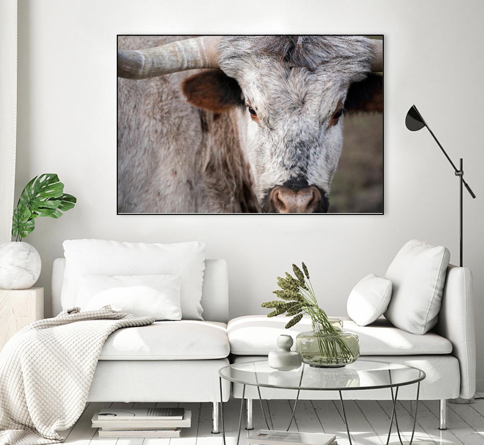 Showdown by Matthew Platz on GIANT ART - multicolor animals; photography