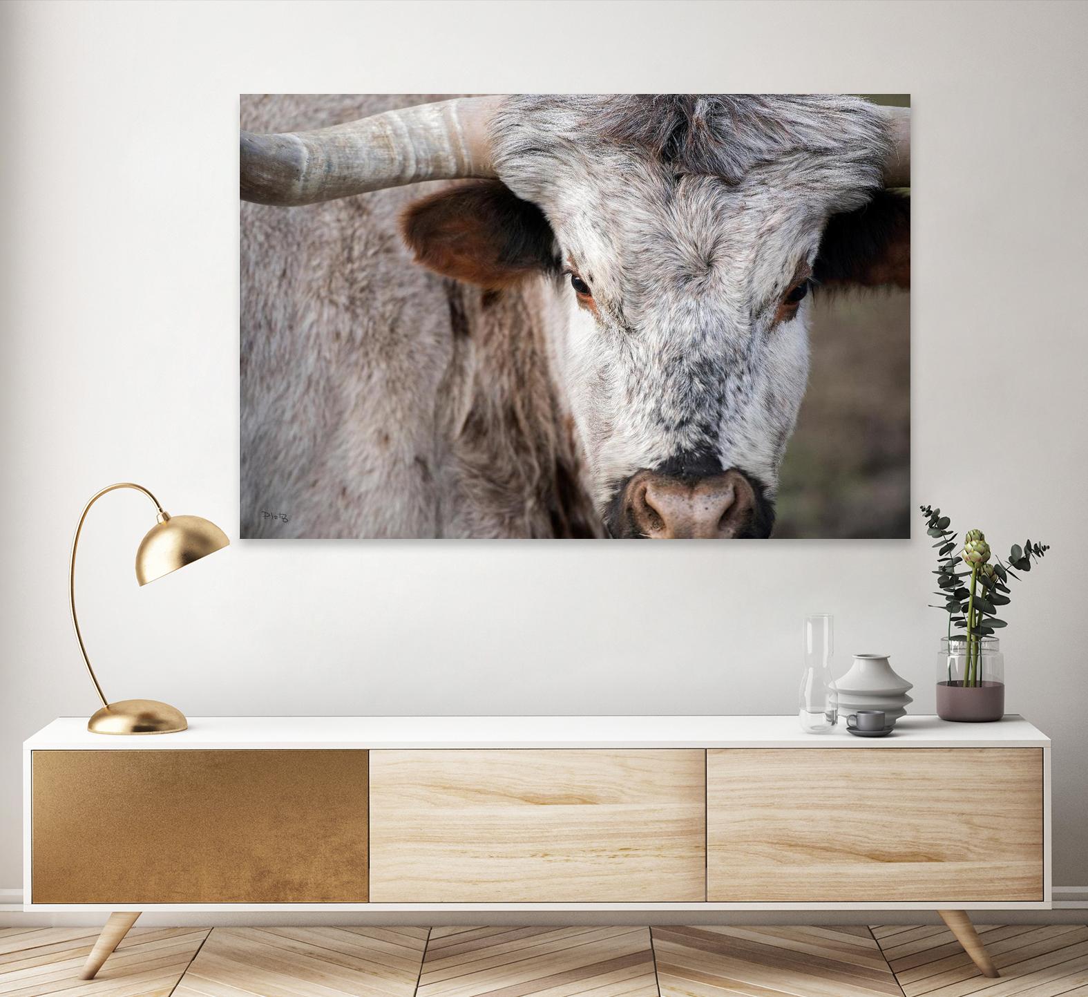 Showdown by Matthew Platz on GIANT ART - multicolor animals; photography