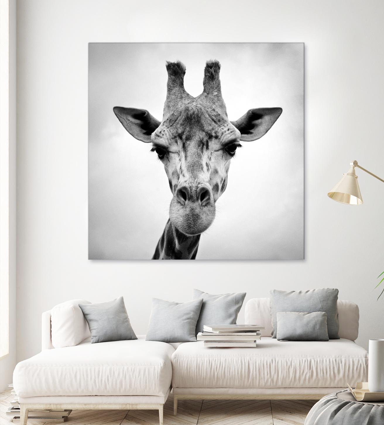 Giraffe by PhotoINC Studio on GIANT ART - white animals