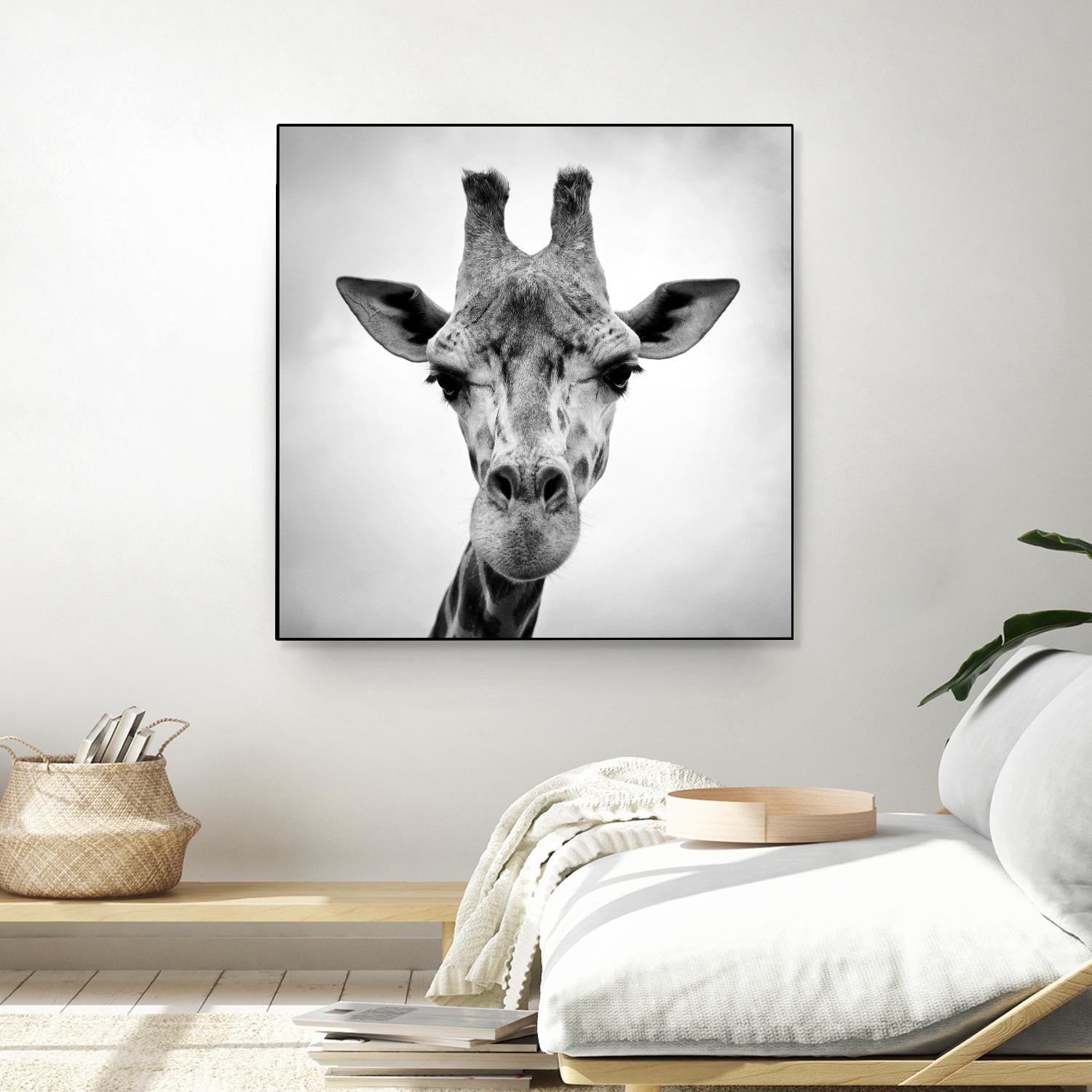 Giraffe by PhotoINC Studio on GIANT ART - white animals