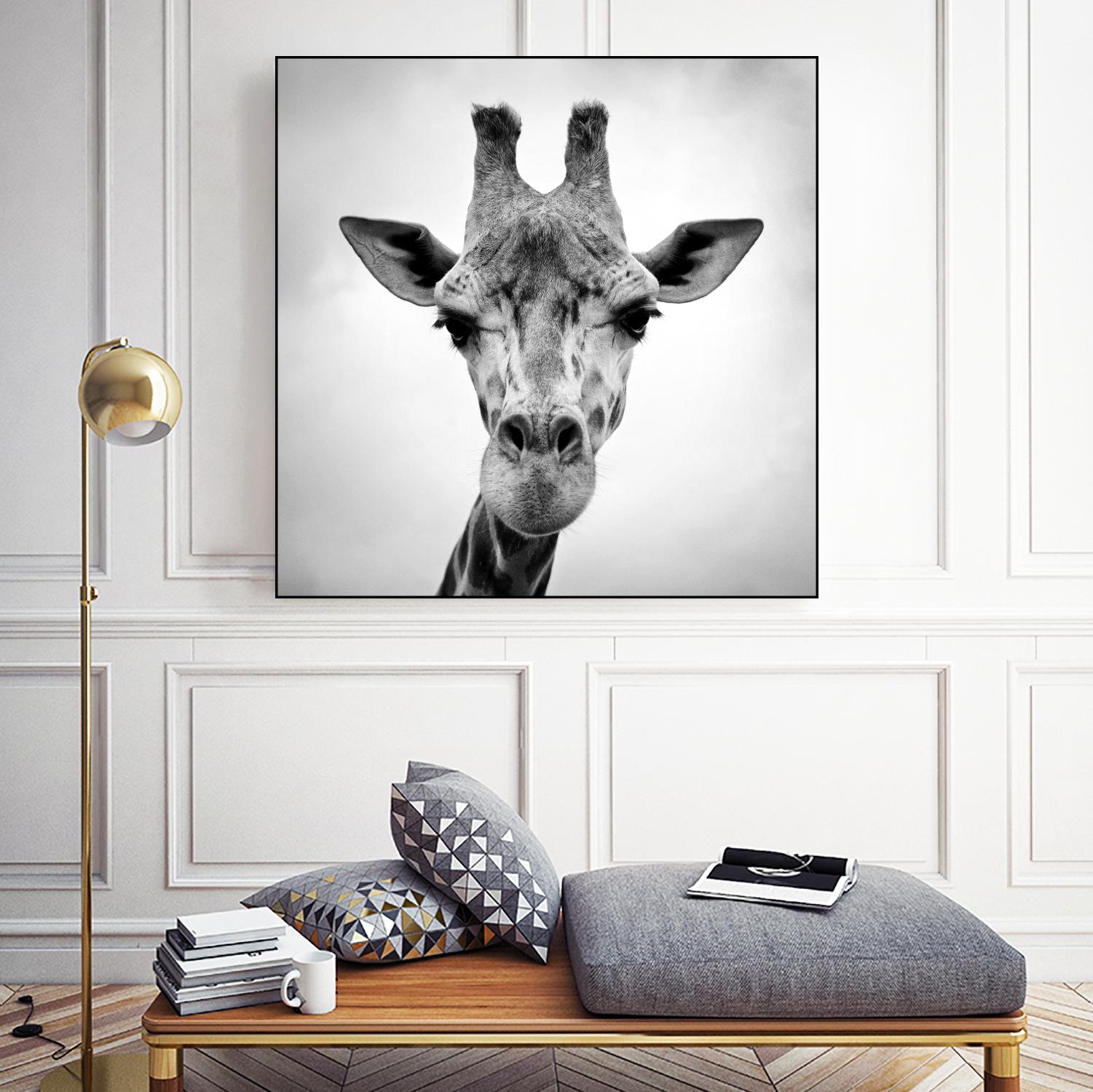 Giraffe by PhotoINC Studio on GIANT ART - white animals