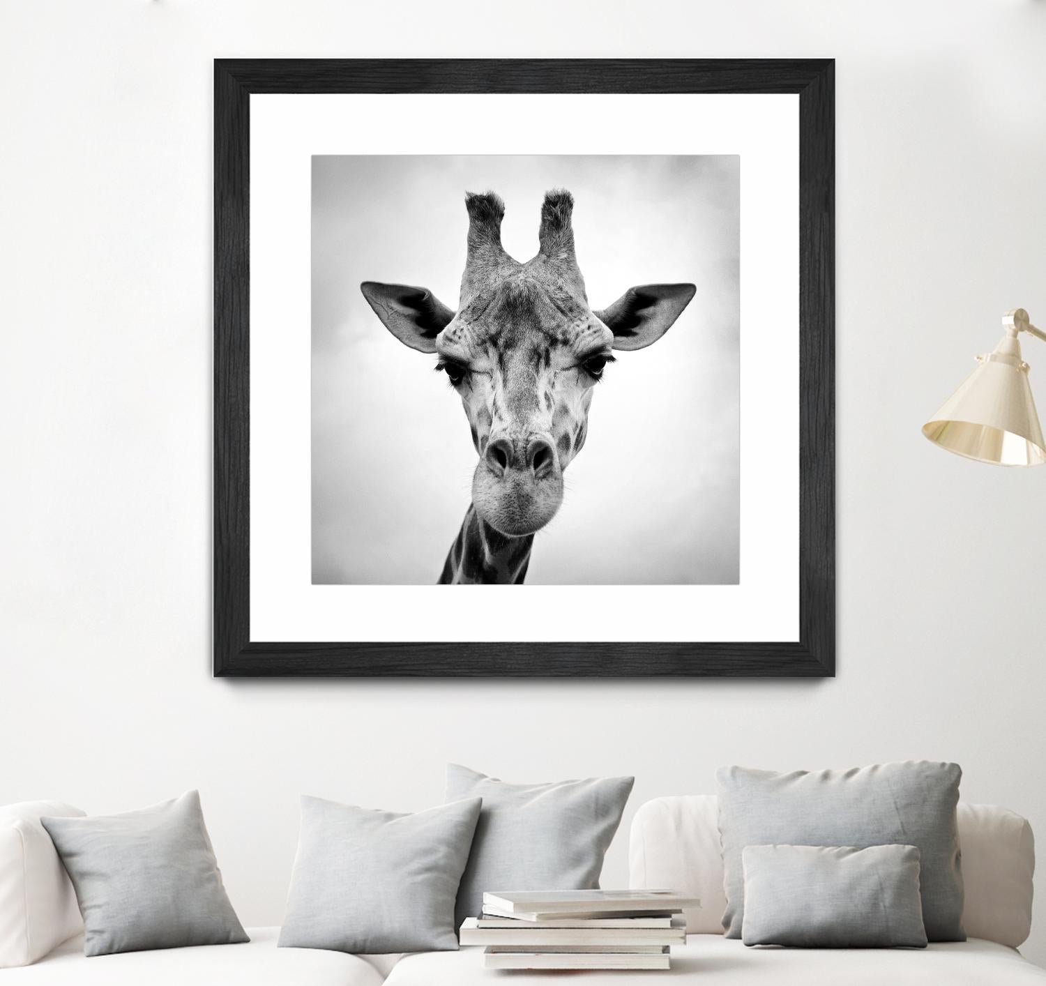 Giraffe by PhotoINC Studio on GIANT ART - white animals