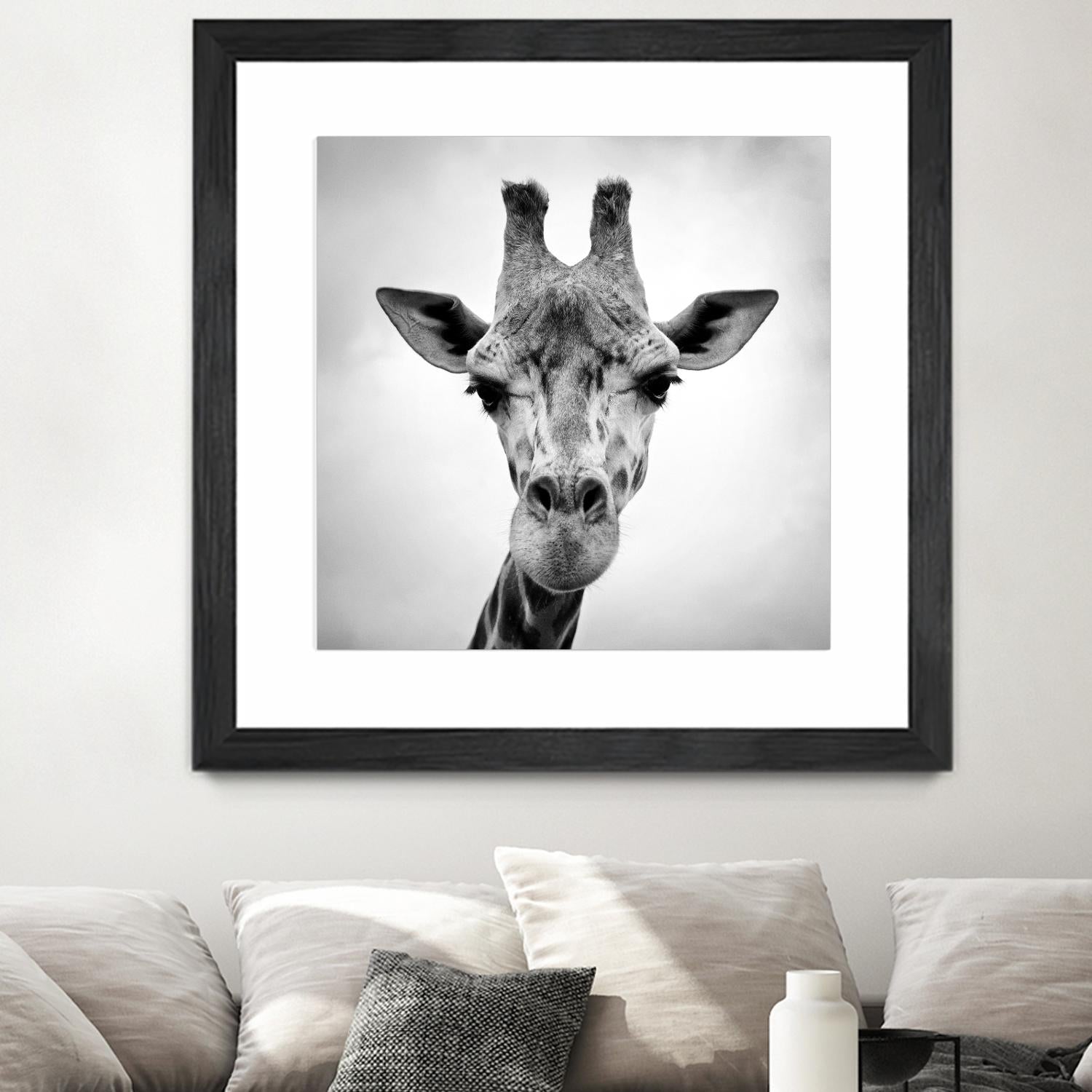 Giraffe by PhotoINC Studio on GIANT ART - white animals