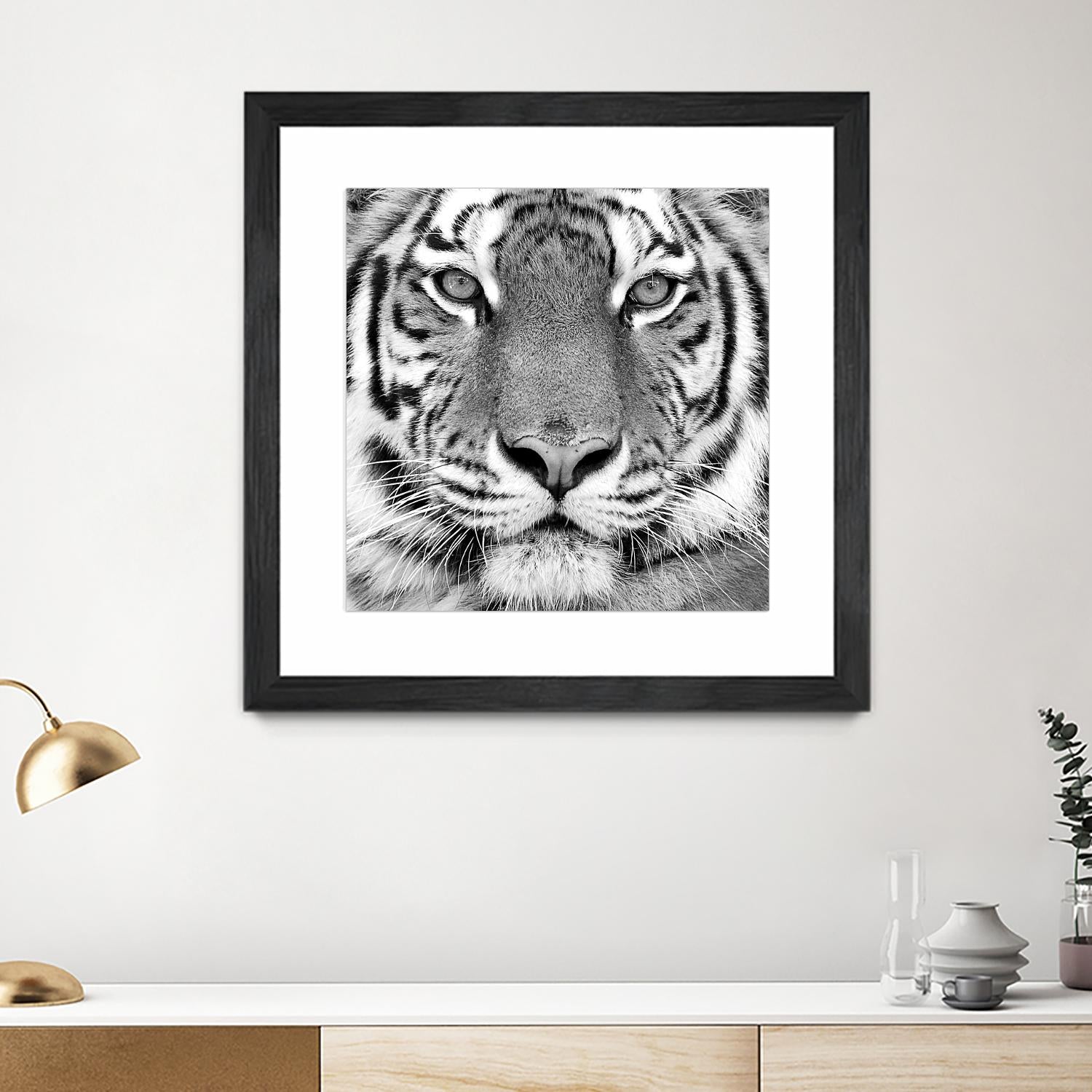 Tiger by PhotoINC Studio on GIANT ART - white animals