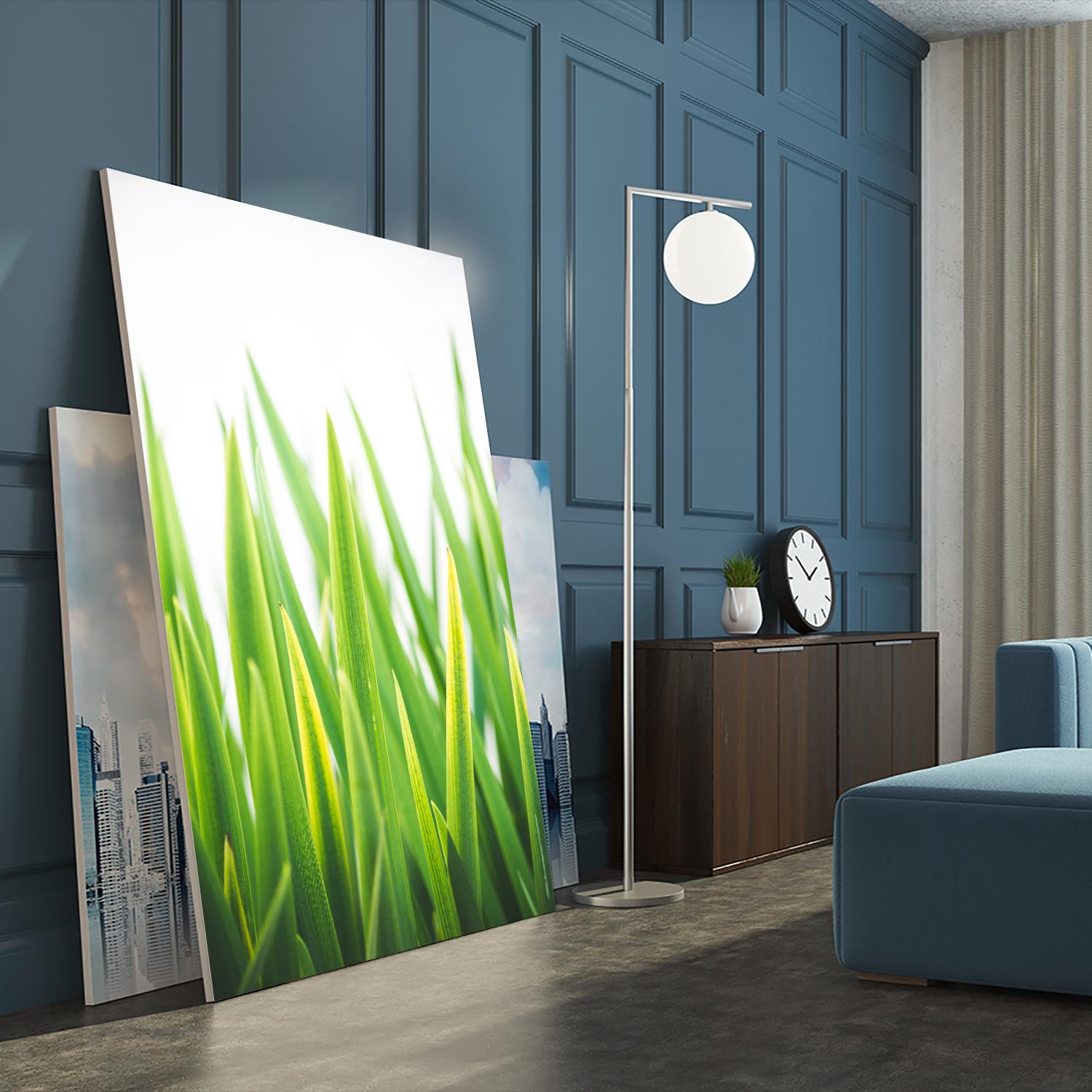 Blades of Green No. 2 by Sonja Quintero on GIANT ART - green floral/still life, photography