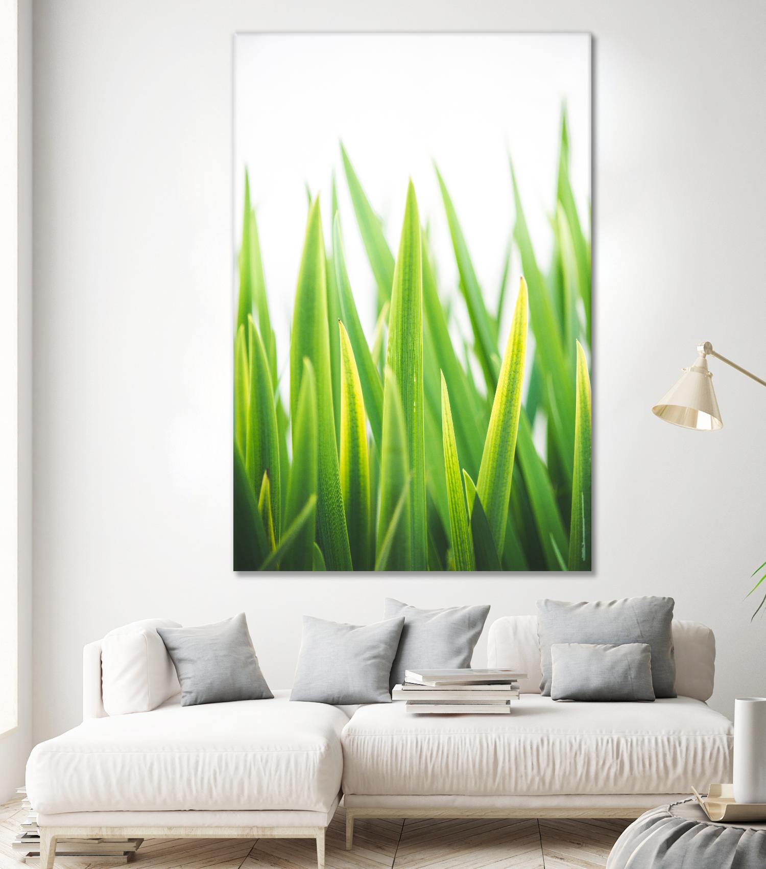 Blades of Green No. 2 by Sonja Quintero on GIANT ART - green floral/still life, photography