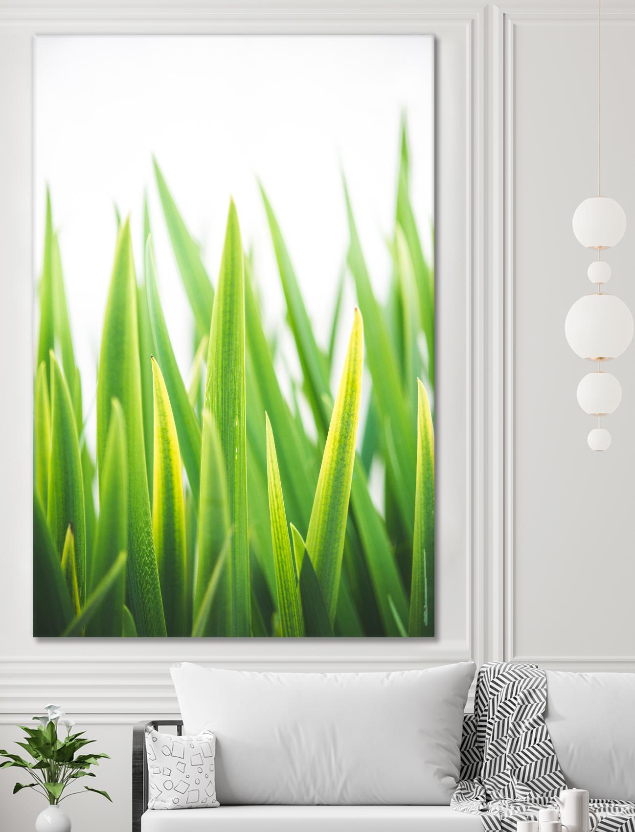 Blades of Green No. 2 by Sonja Quintero on GIANT ART - green floral/still life, photography