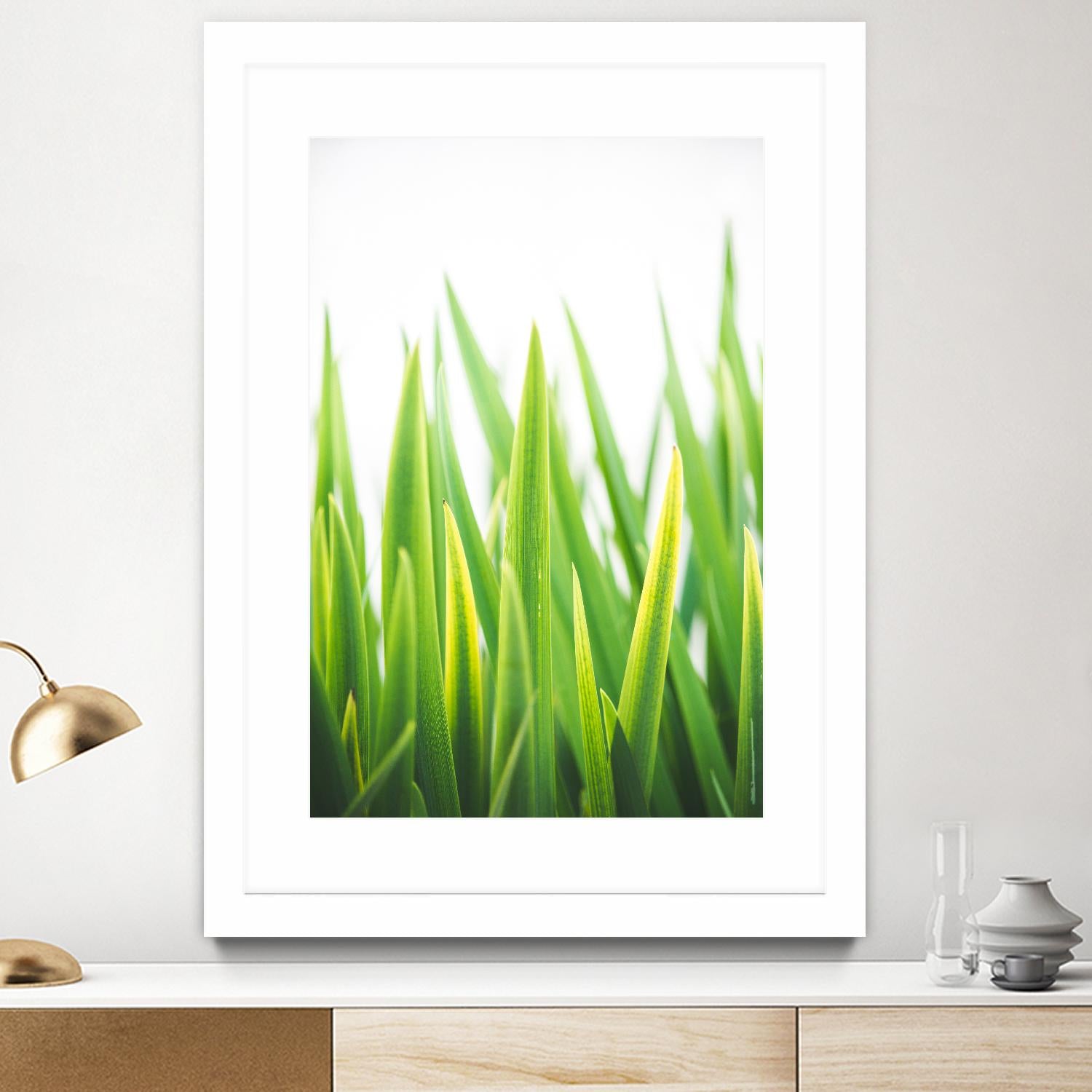 Blades of Green No. 2 by Sonja Quintero on GIANT ART - green floral/still life, photography