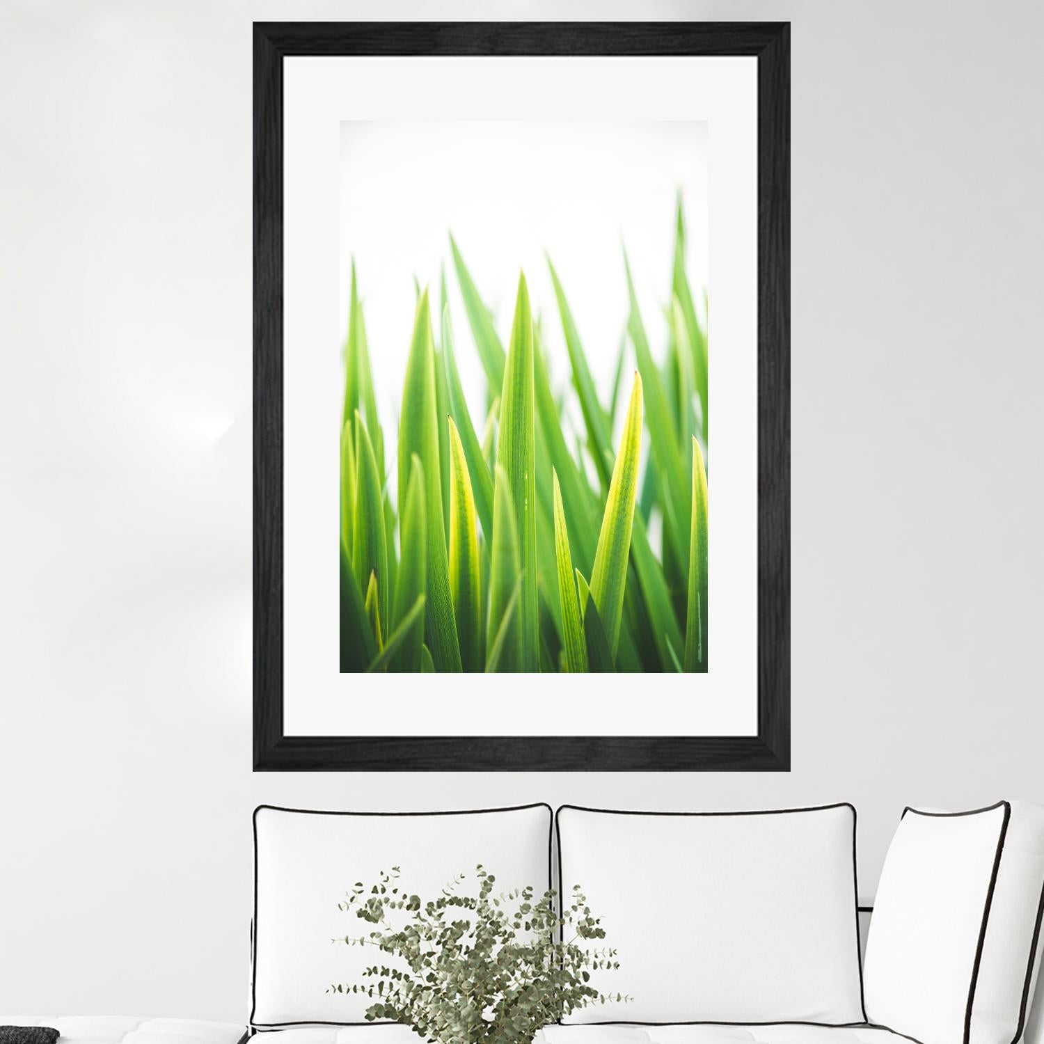 Blades of Green No. 2 by Sonja Quintero on GIANT ART - green floral/still life, photography