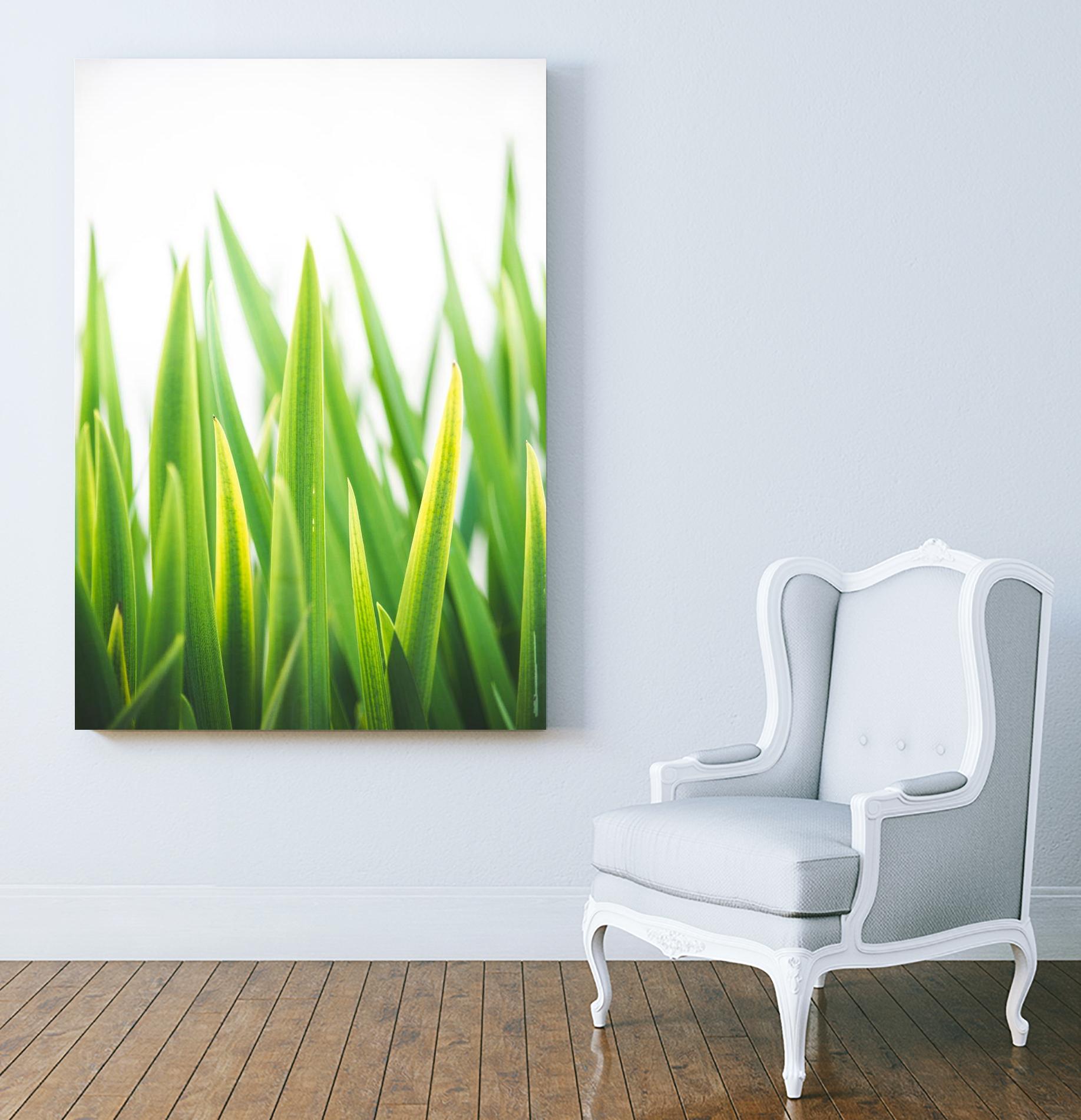 Blades of Green No. 2 by Sonja Quintero on GIANT ART - green floral/still life, photography