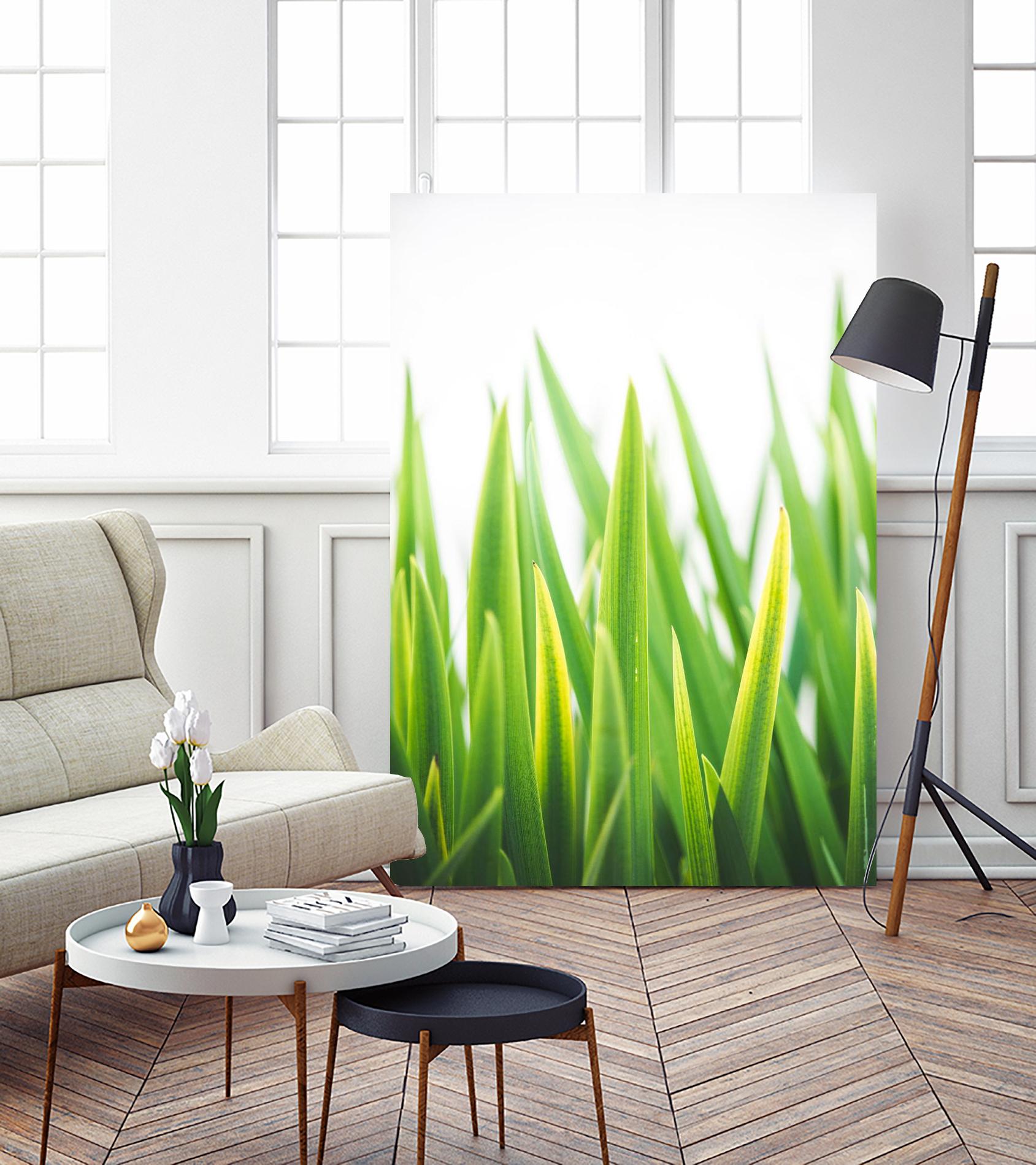 Blades of Green No. 2 by Sonja Quintero on GIANT ART - green floral/still life, photography