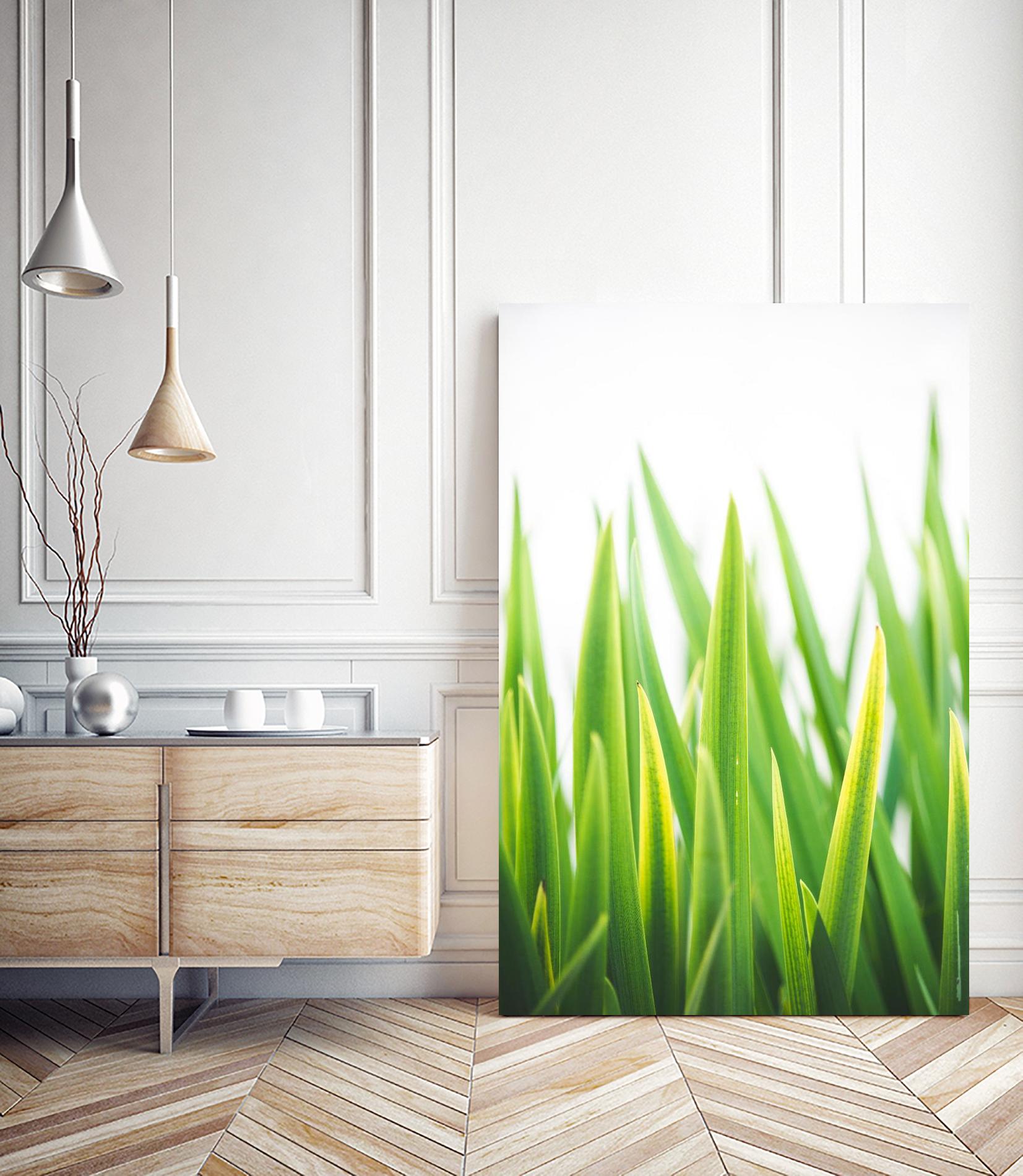 Blades of Green No. 2 by Sonja Quintero on GIANT ART - green floral/still life, photography