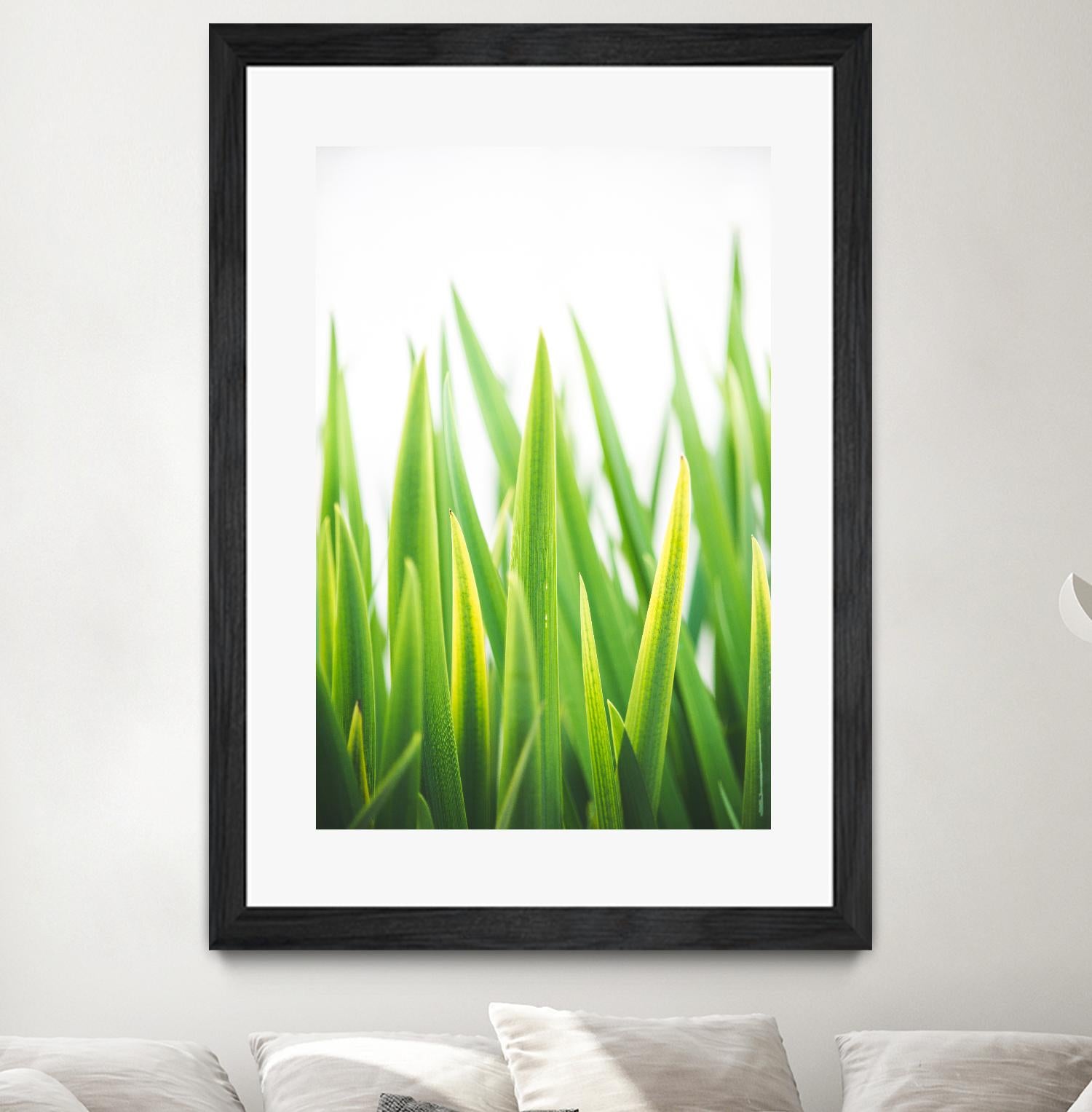 Blades of Green No. 2 by Sonja Quintero on GIANT ART - green floral/still life, photography