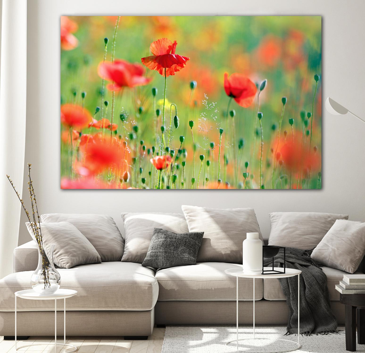 United Colors of Summer by Roeselien Raimond on GIANT ART - multicolor photography; floral/still life; landscapes