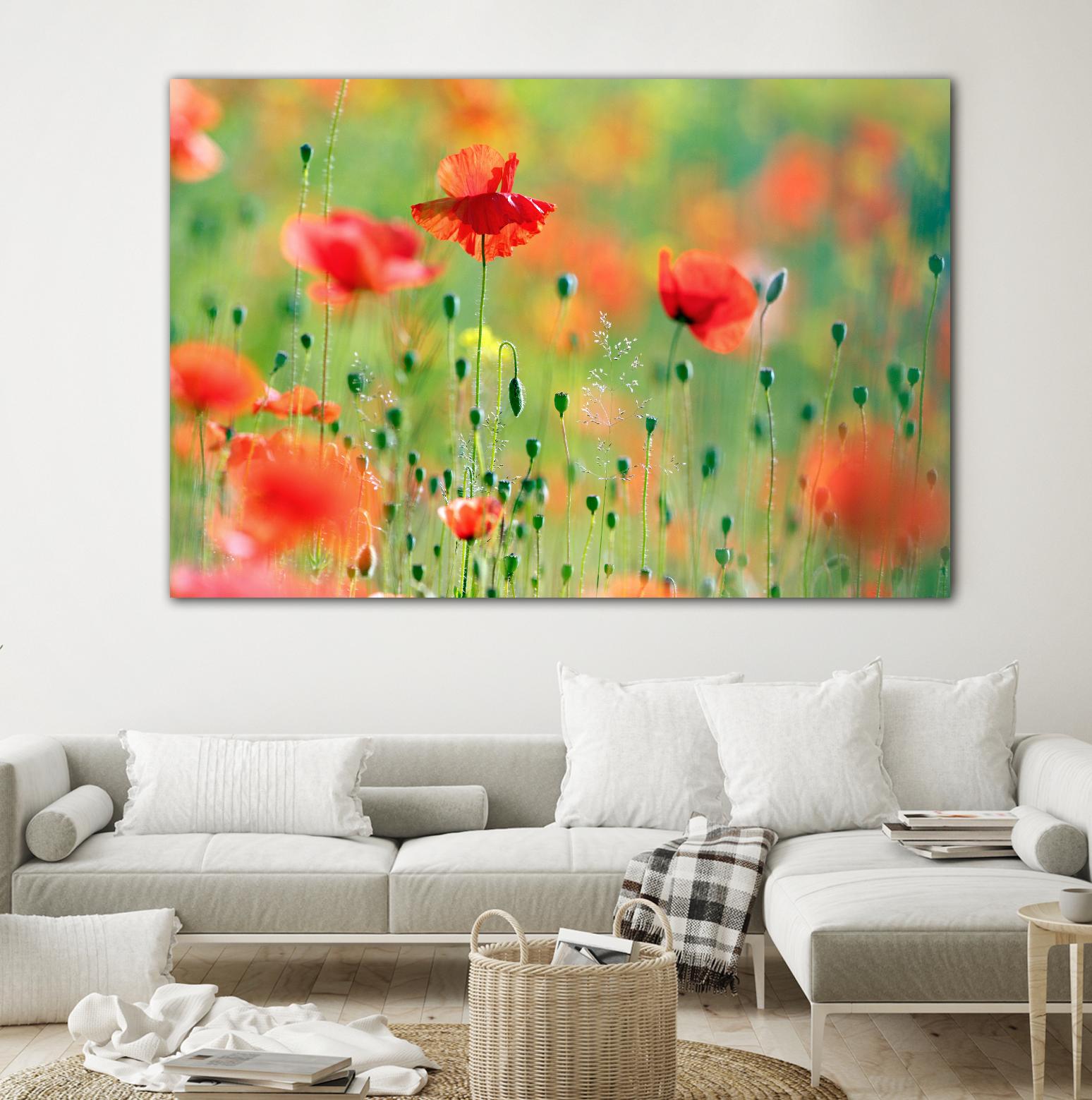 United Colors of Summer by Roeselien Raimond on GIANT ART - multicolor photography; floral/still life; landscapes