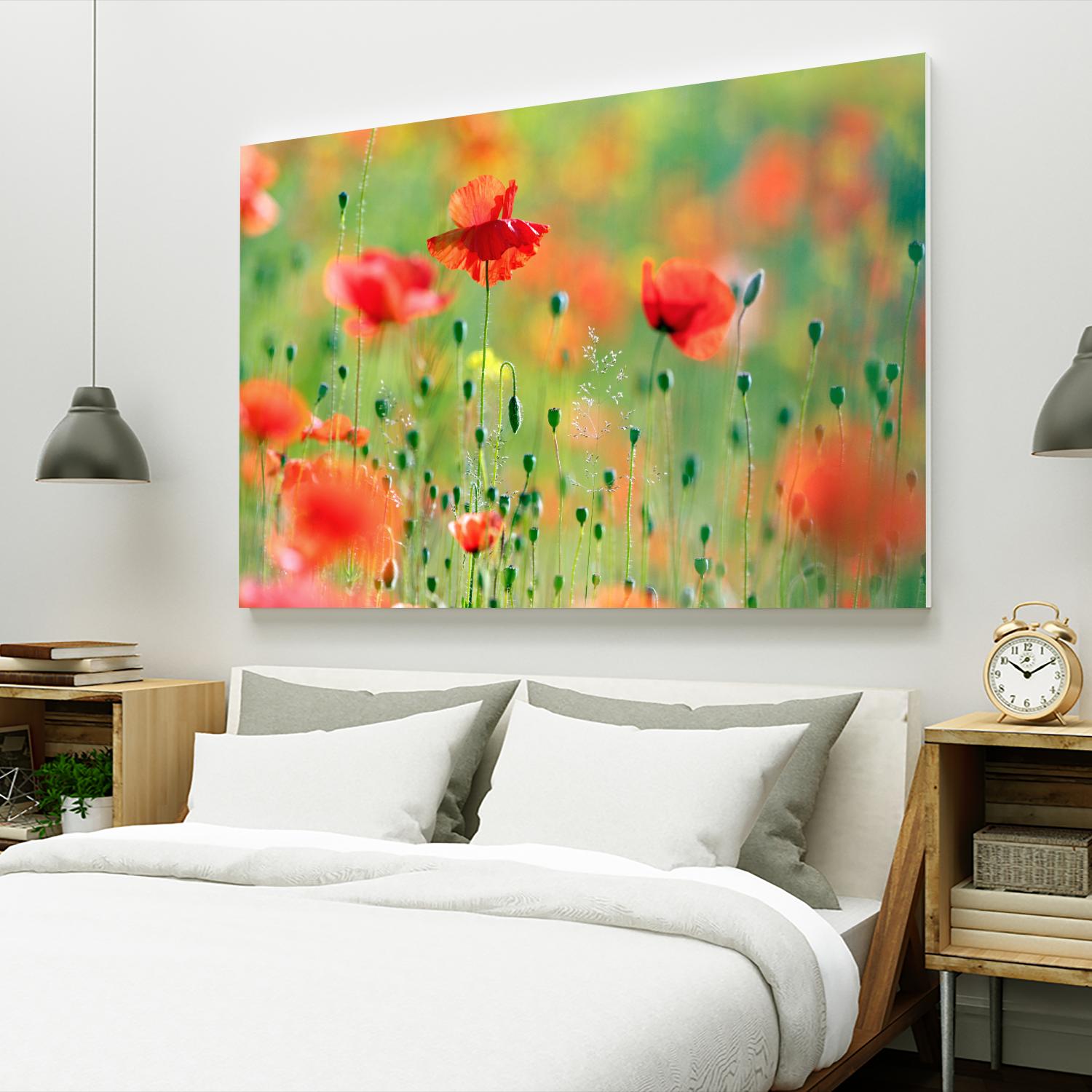 United Colors of Summer by Roeselien Raimond on GIANT ART - multicolor photography; floral/still life; landscapes