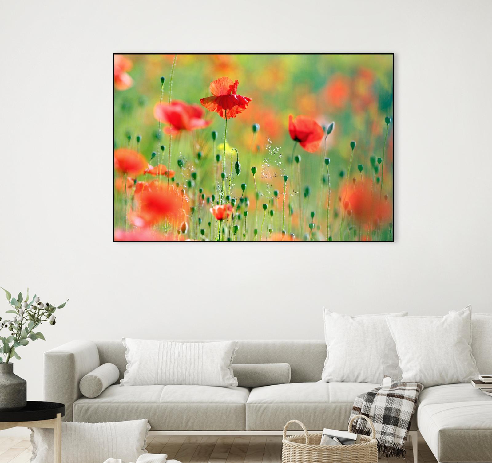 United Colors of Summer by Roeselien Raimond on GIANT ART - multicolor photography; floral/still life; landscapes