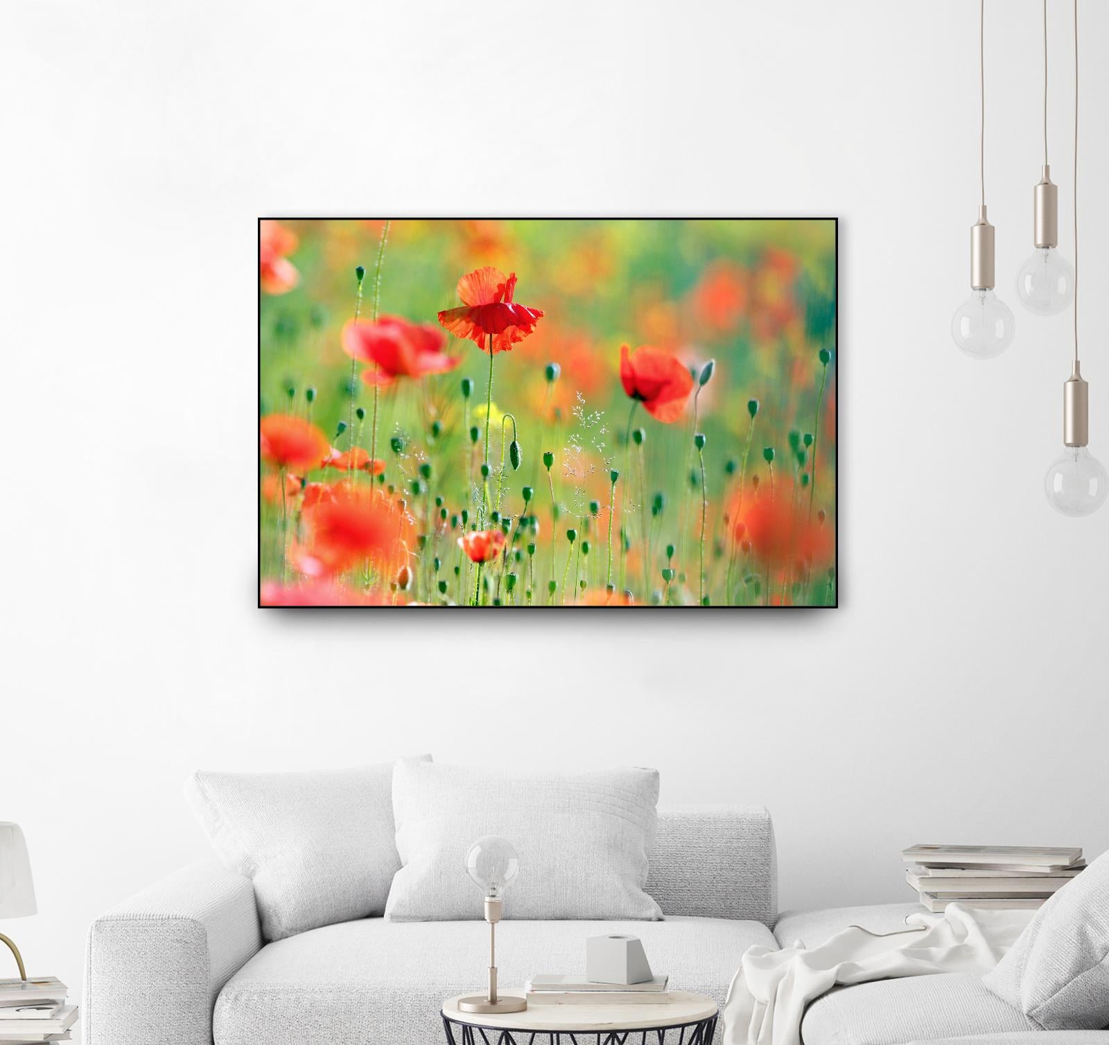 United Colors of Summer by Roeselien Raimond on GIANT ART - multicolor photography; floral/still life; landscapes