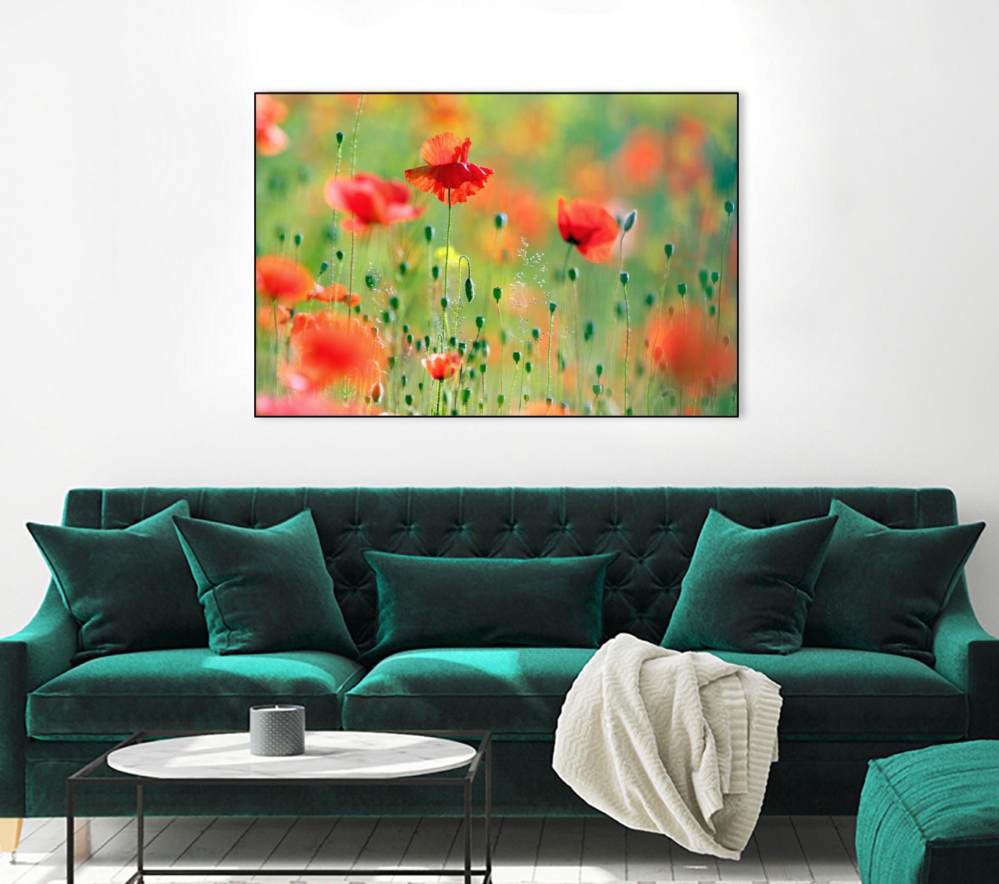 United Colors of Summer by Roeselien Raimond on GIANT ART - multicolor photography; floral/still life; landscapes