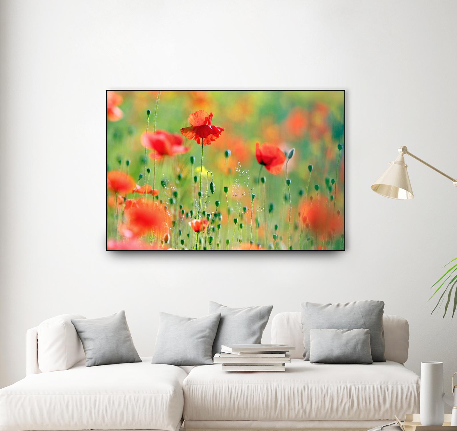 United Colors of Summer by Roeselien Raimond on GIANT ART - multicolor photography; floral/still life; landscapes