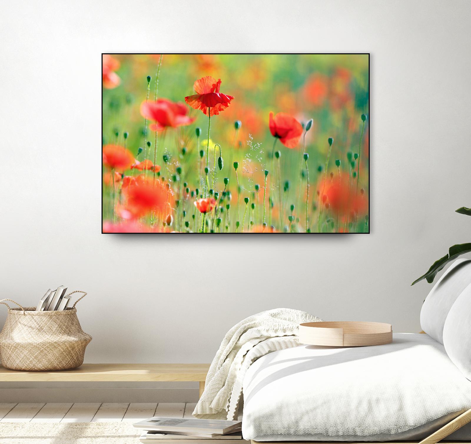 United Colors of Summer by Roeselien Raimond on GIANT ART - multicolor photography; floral/still life; landscapes